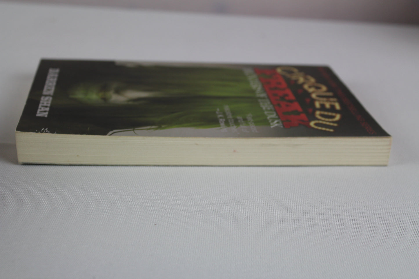 Cirque Du Freak: Hunters of the Dusk: Book 7 in the Saga of Darren Shan by Darren Shan