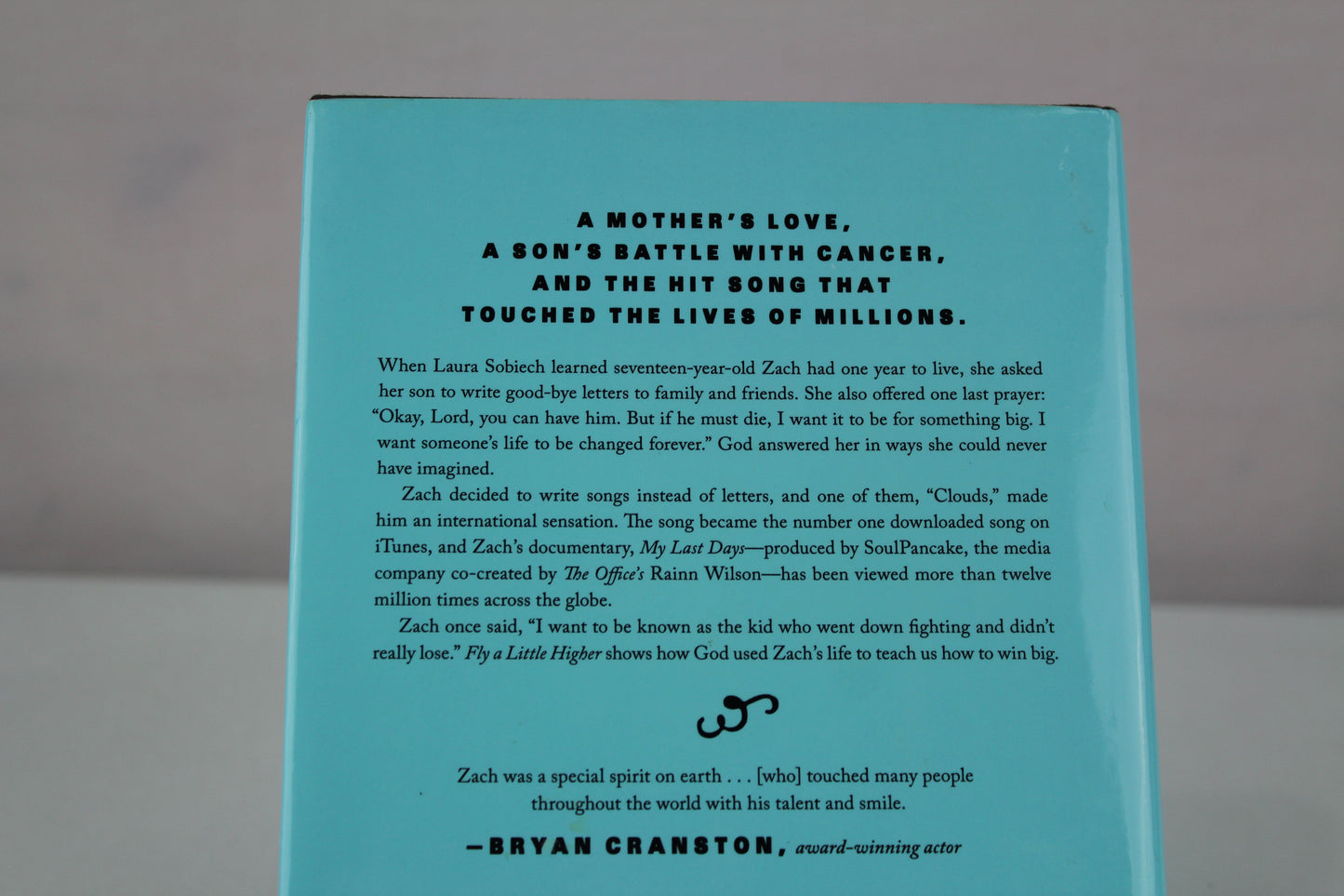 Fly a Little Higher: How God Answered a Mom's Small Prayer in a Big Way by Laura Sobiech