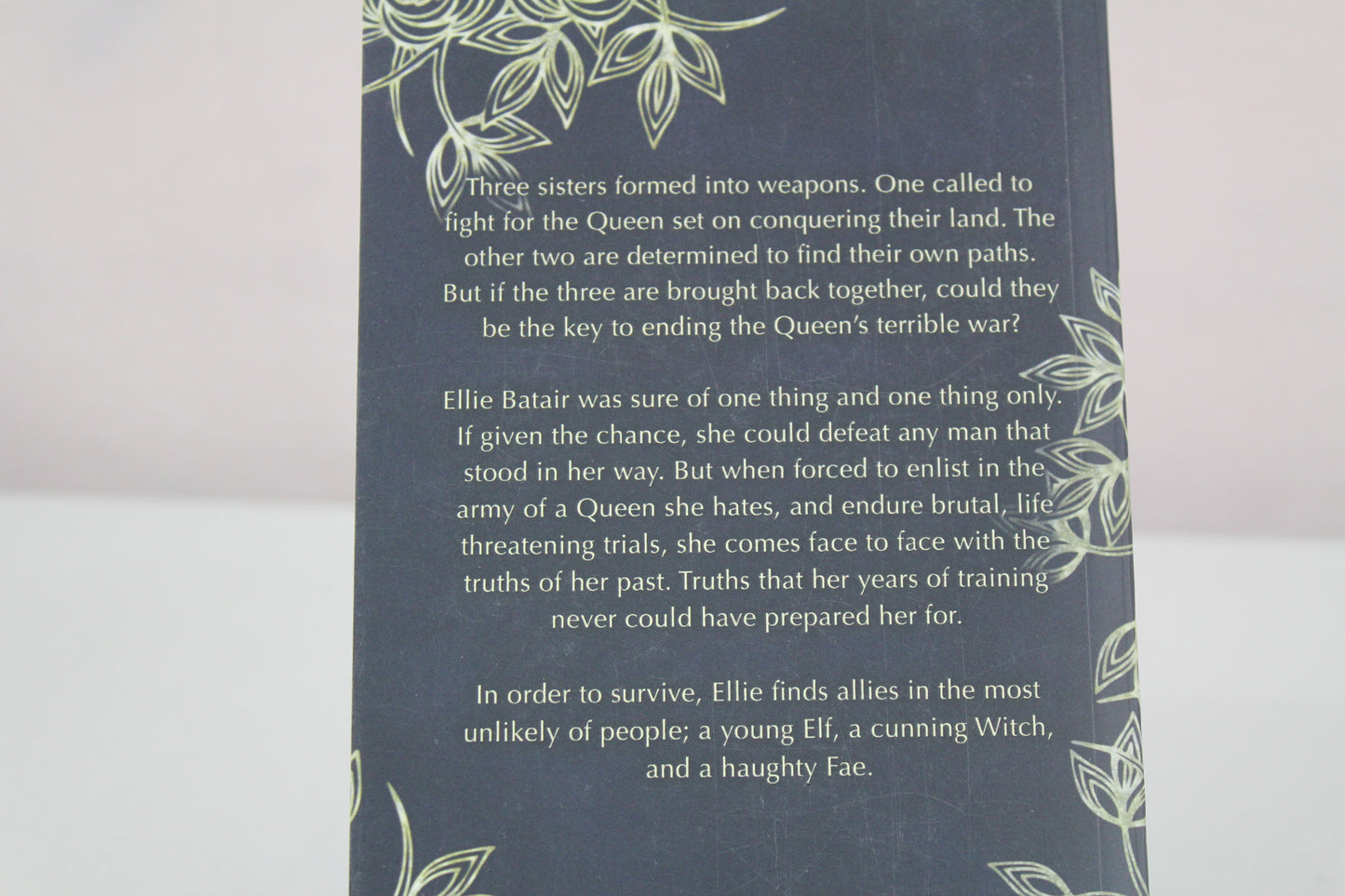 Forsaken Thrones (The Forsaken Kingdom) by L L Stiles