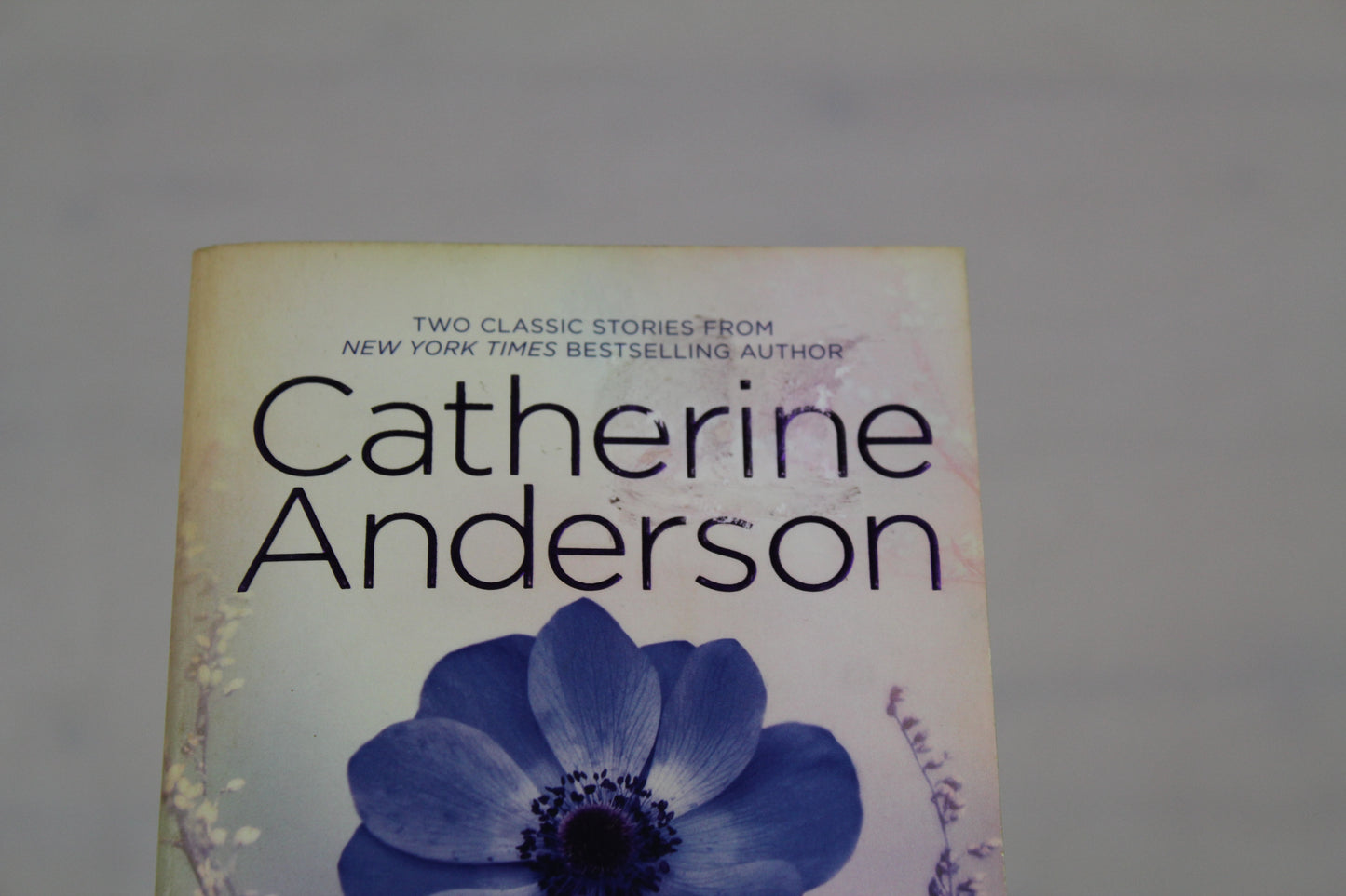 Endless Night: SwitchbackCry of the Wild (HQN) by Catherine Anderson