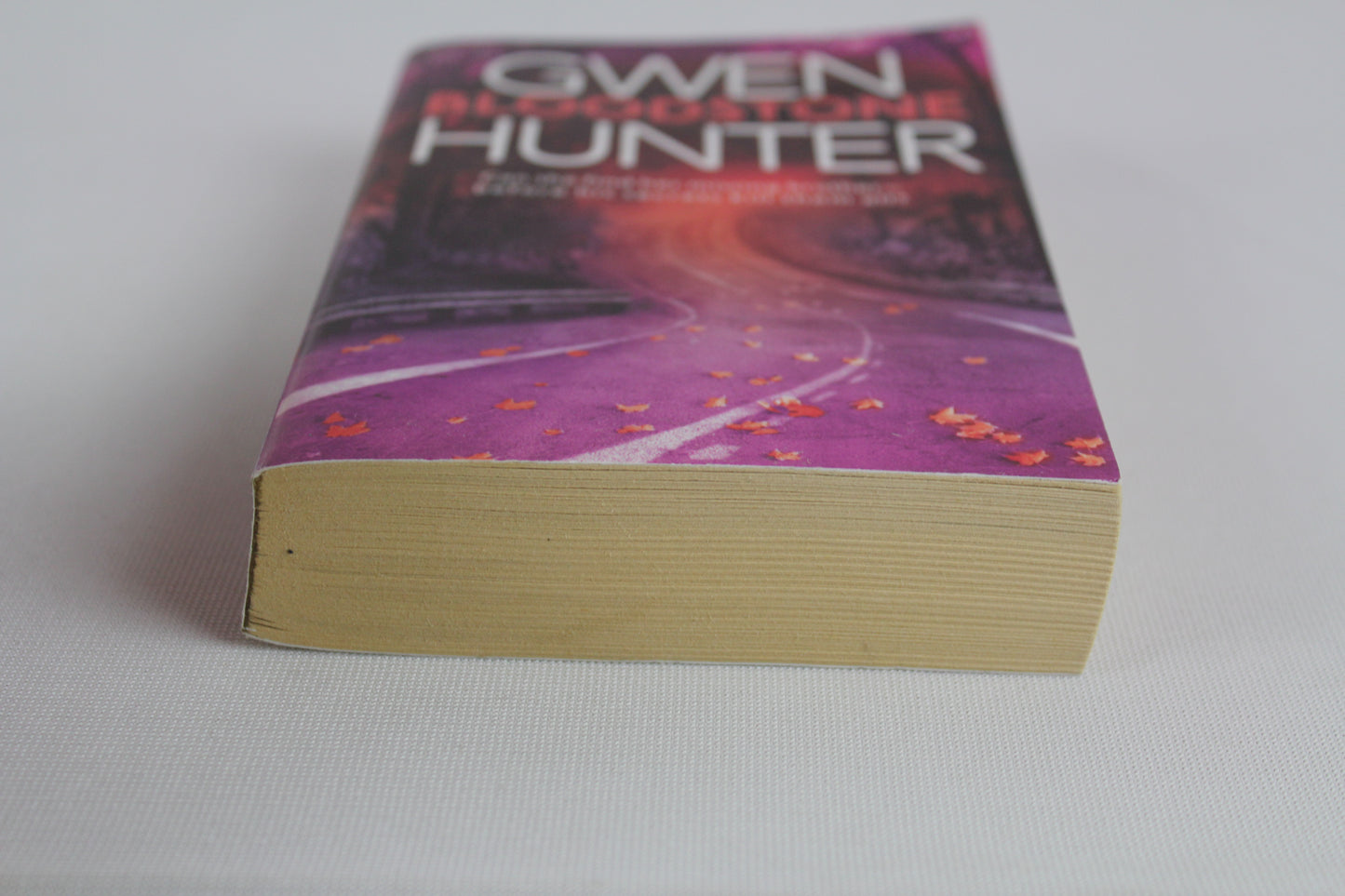 Bloodstone by Gwen Hunter