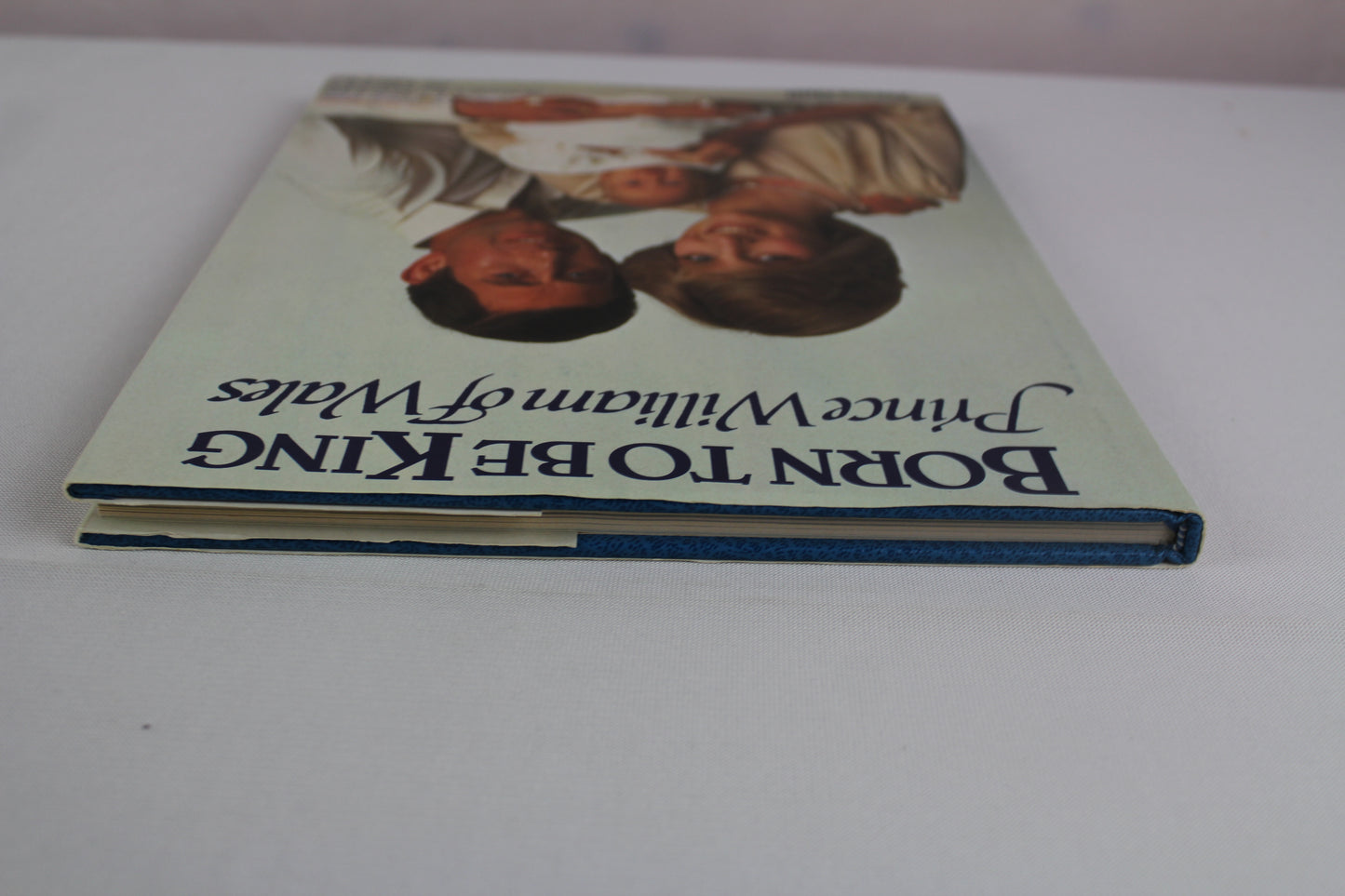 Born To Be King : Prince William Of Wales by Trevor Hall