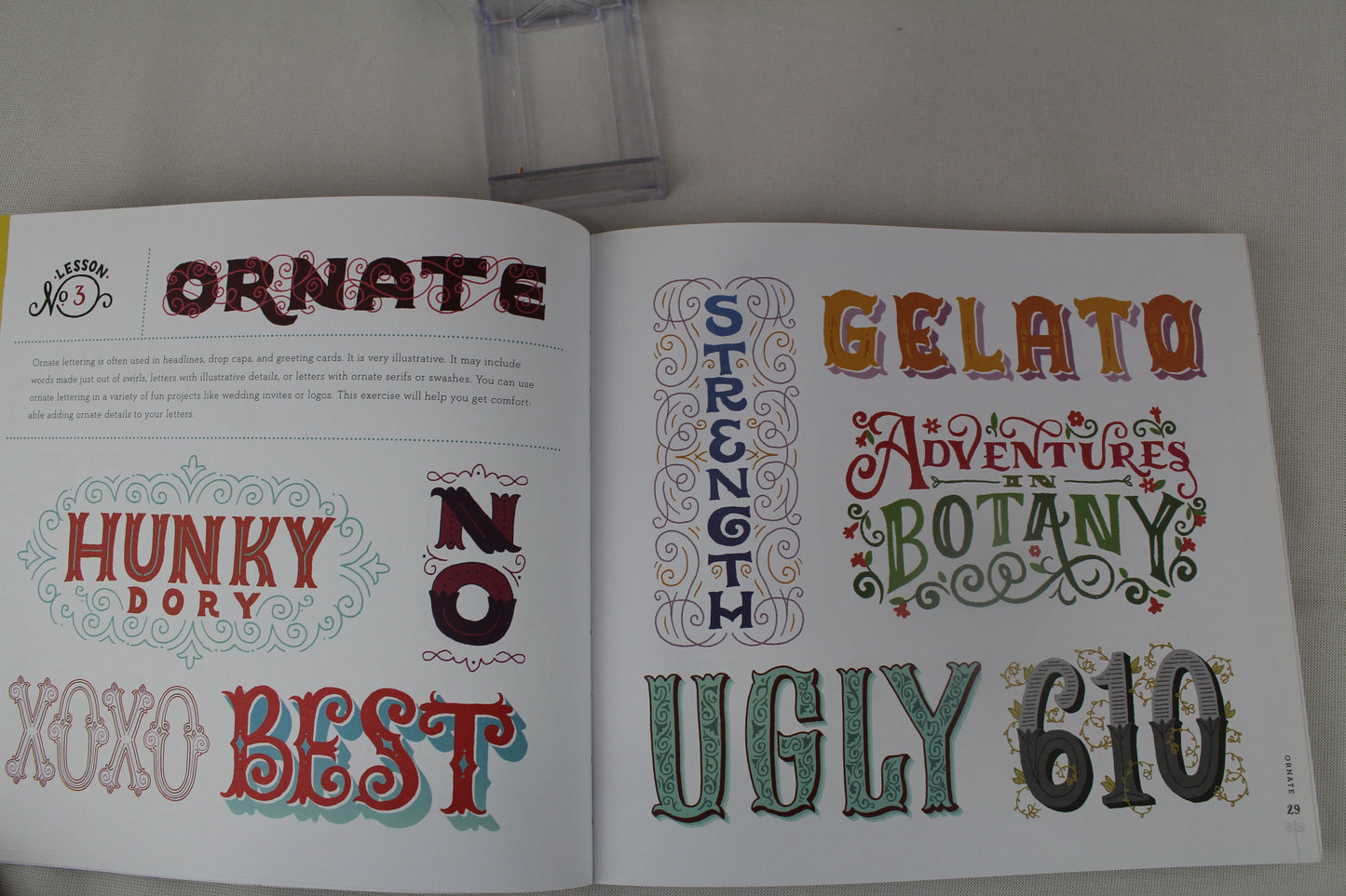 Hand-Lettering Ledger: A Practical Guide to Creating Serif, Script, Illustrated, Ornate, and Other Totally Original Hand-Drawn Styles by Chronicle Books, Mary Kate McDevitt