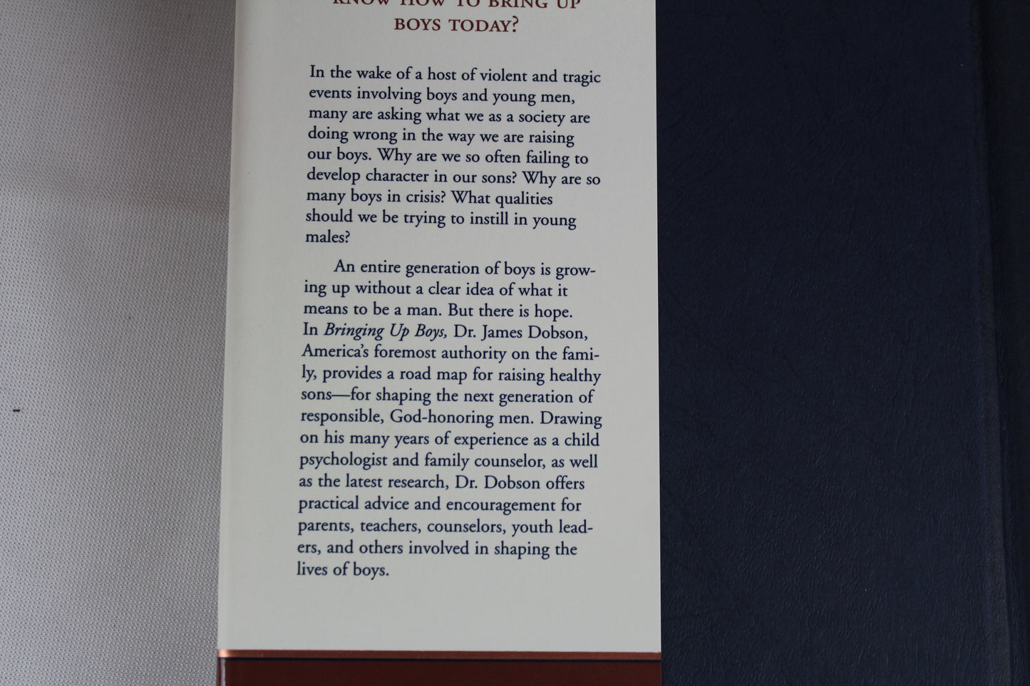 Bringing Up Boys: Practical Advice and Encouragement for Those Shaping the Next Generation of Men by James C. Dobson