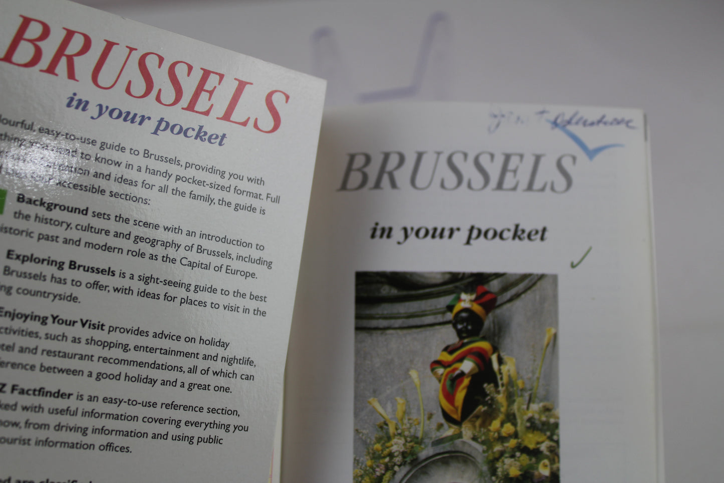Brussels (en anglais) by Michelin Travel Publications
