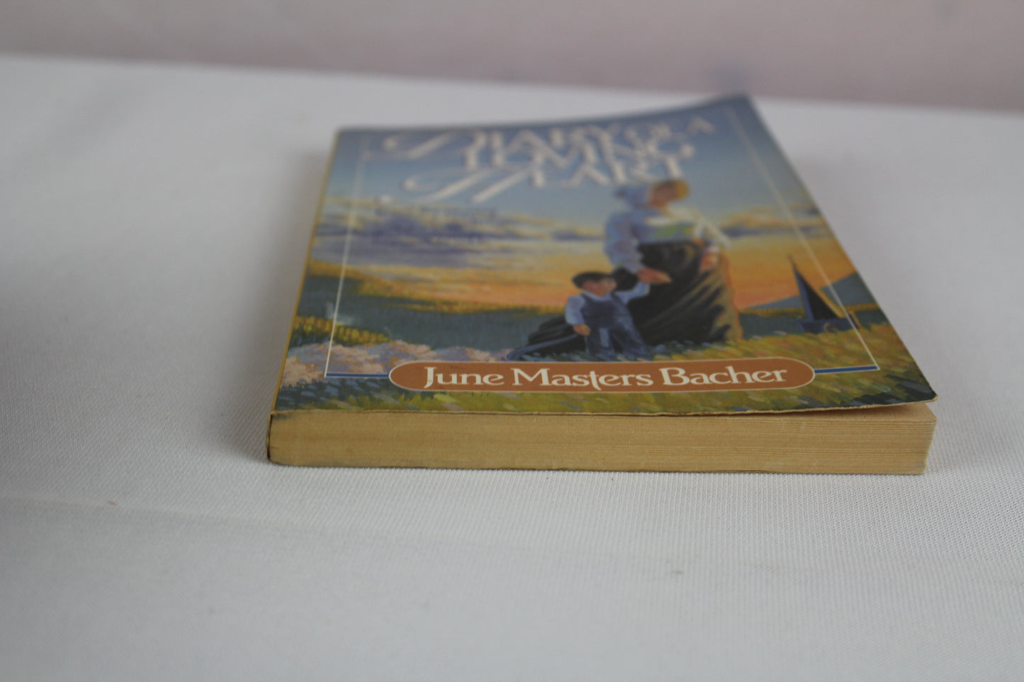 Diary of a Loving Heart by Bacher June