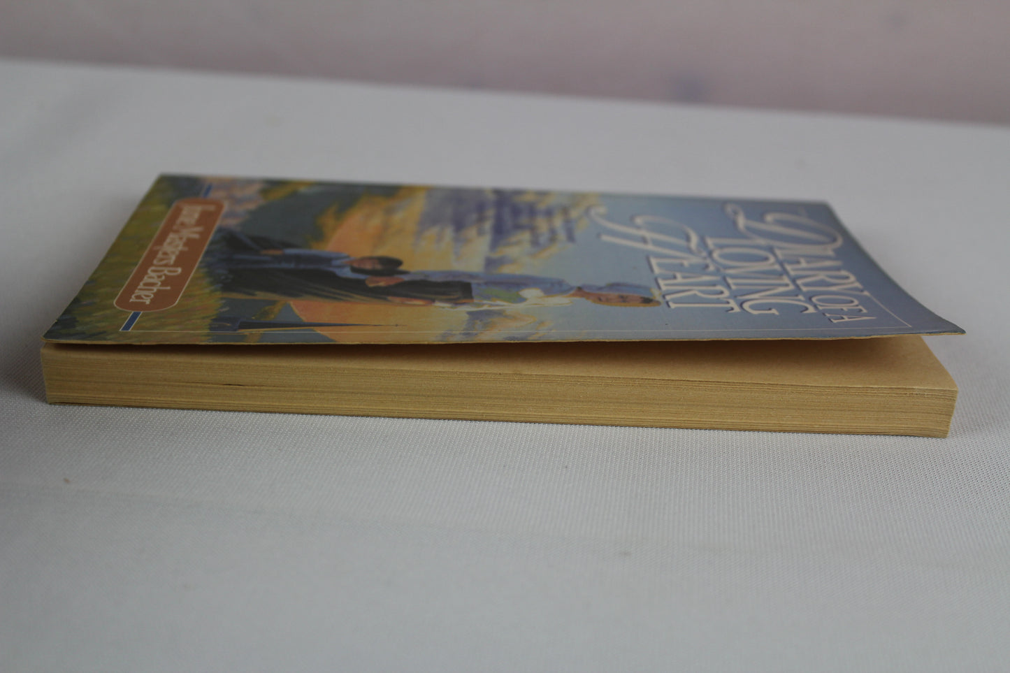 Diary of a Loving Heart by Bacher June
