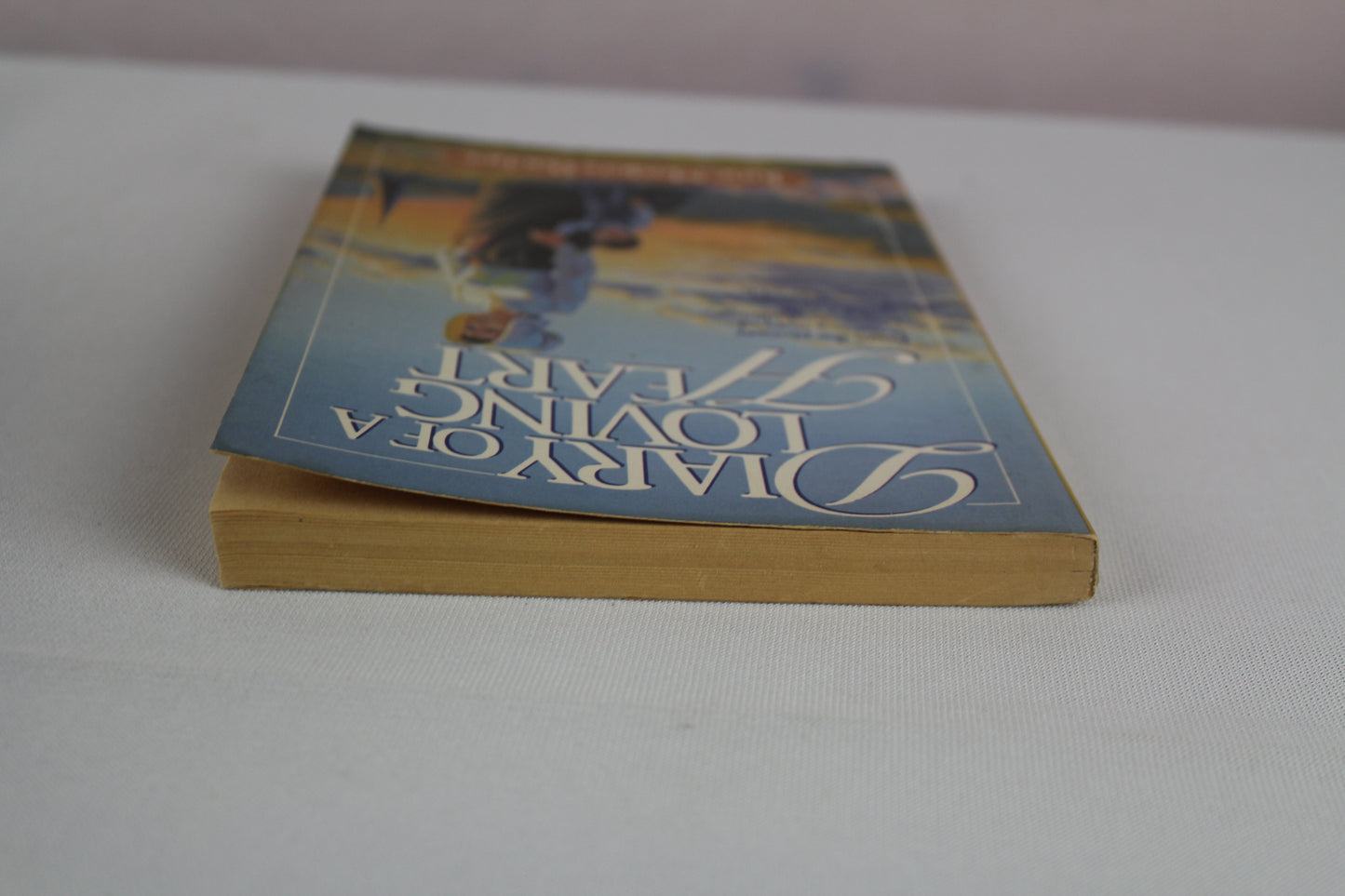 Diary of a Loving Heart by Bacher June