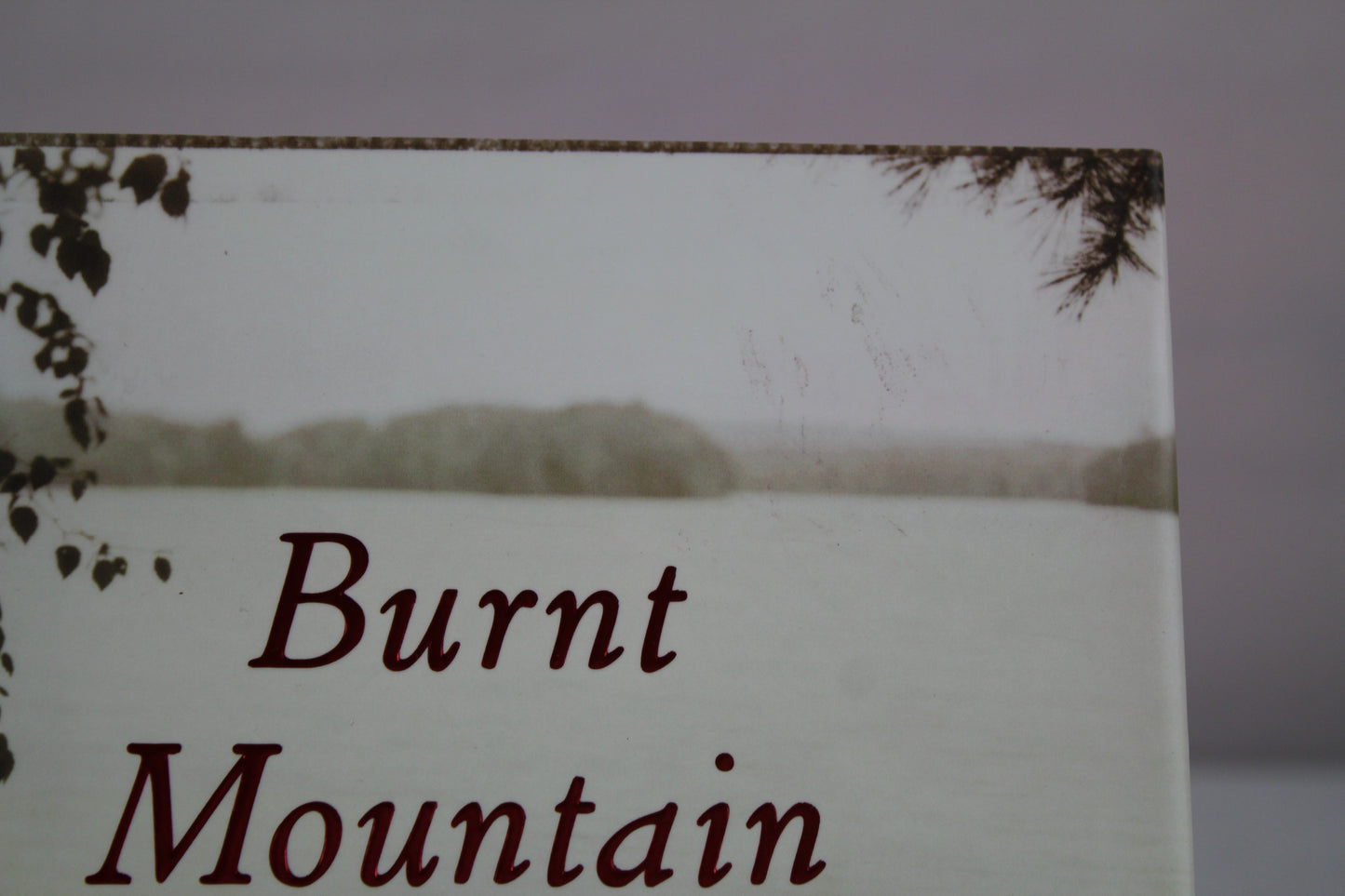 Burnt Mountain by Anne Rivers Siddons