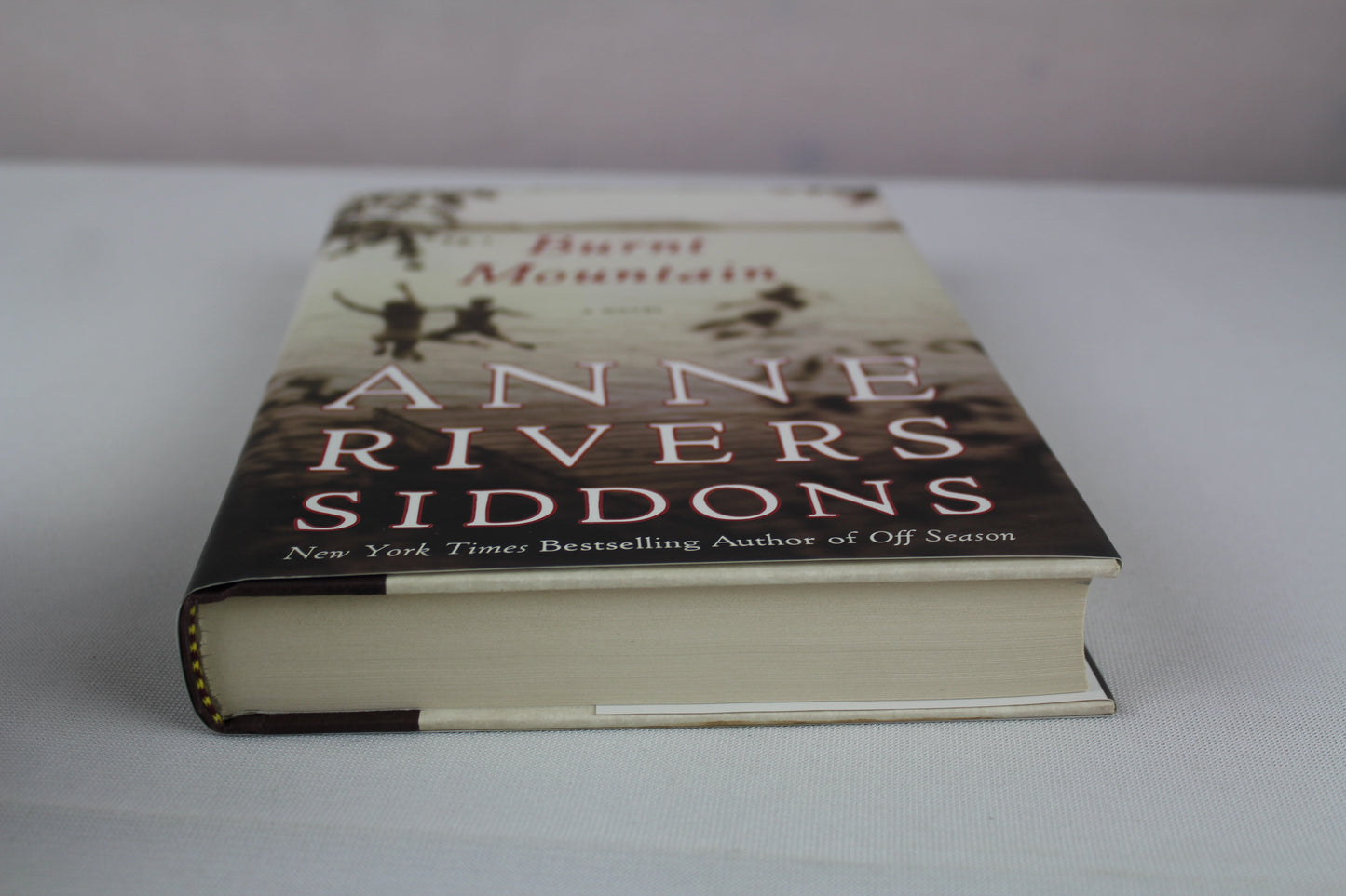 Burnt Mountain by Anne Rivers Siddons