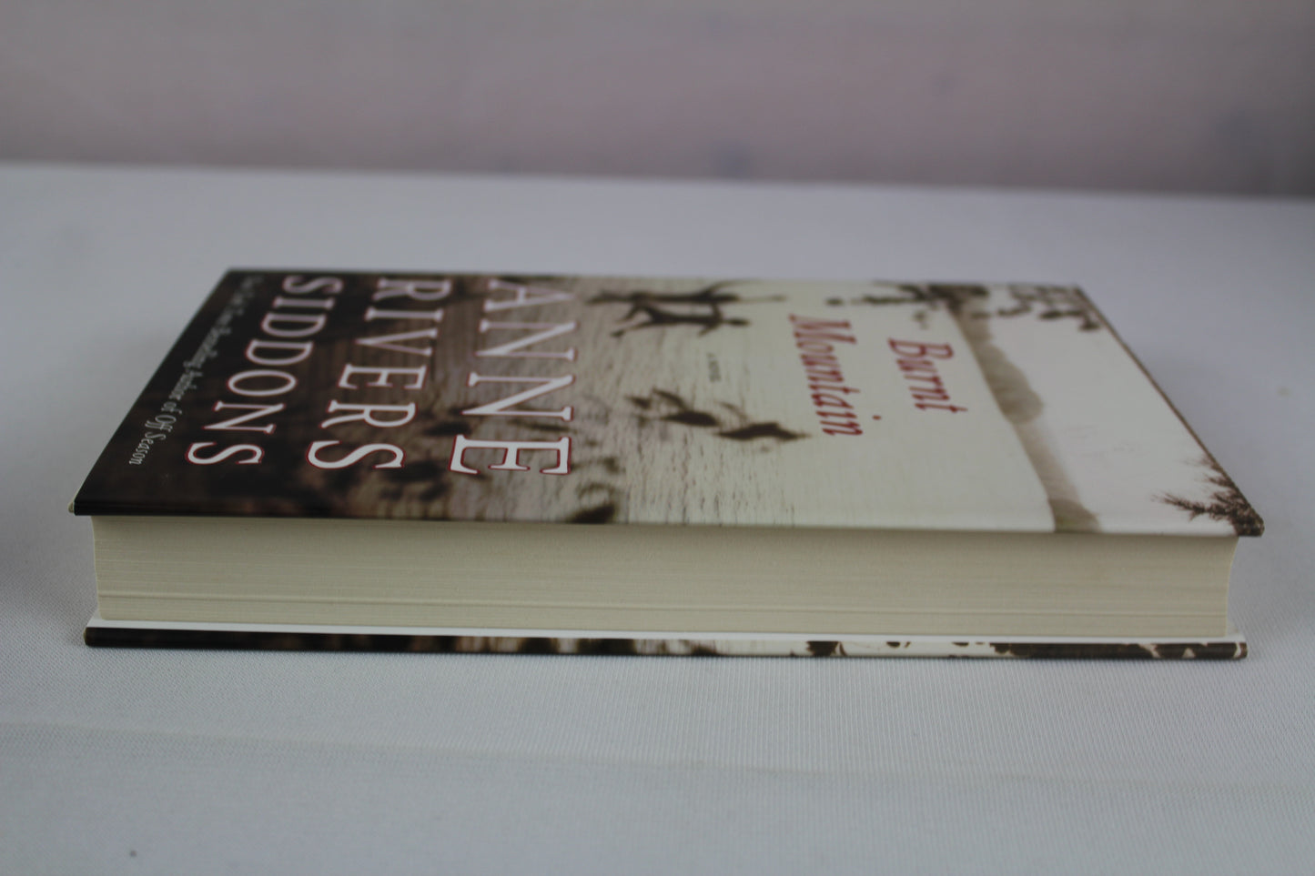 Burnt Mountain by Anne Rivers Siddons