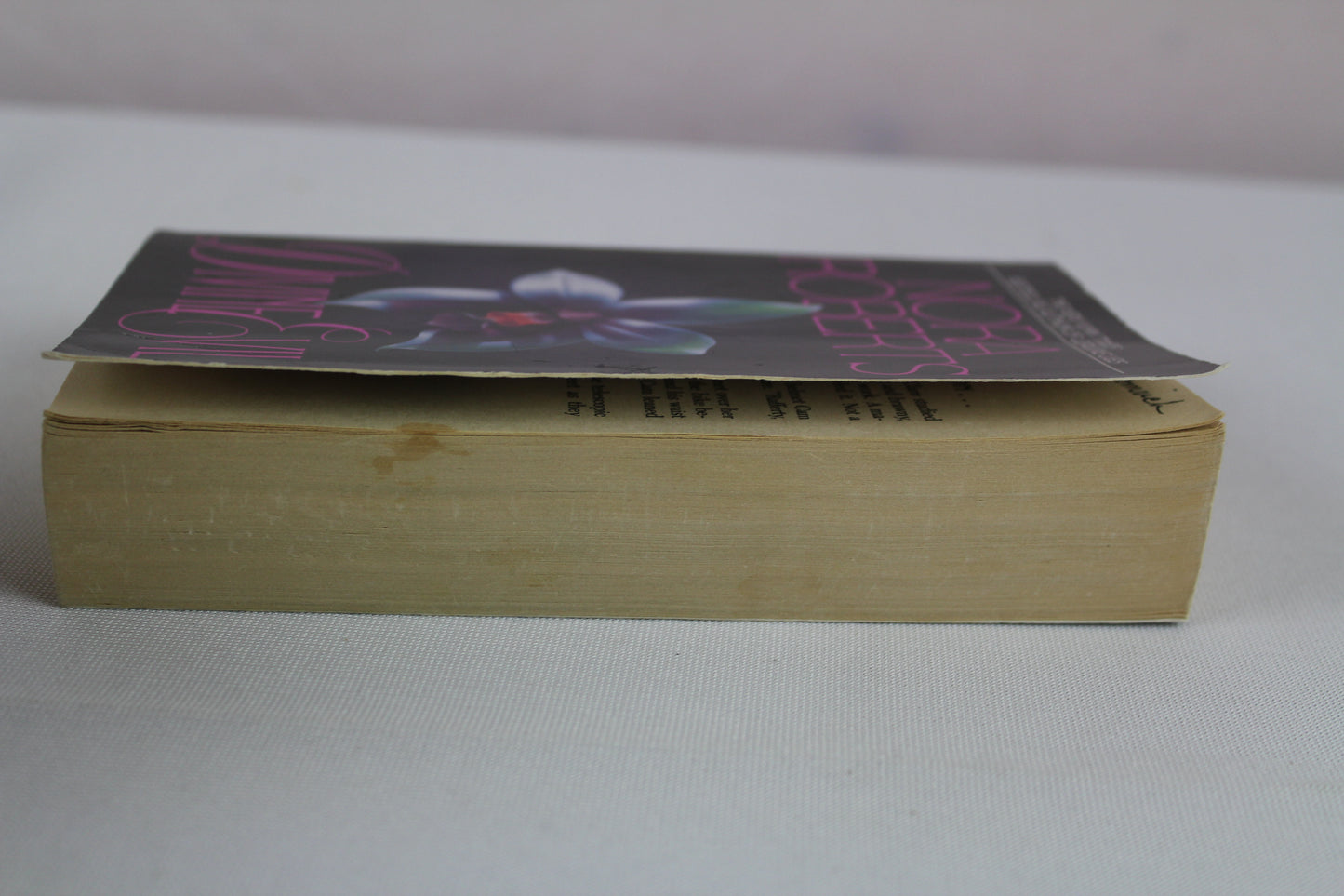 Divine Evil: A Novel by Nora Roberts