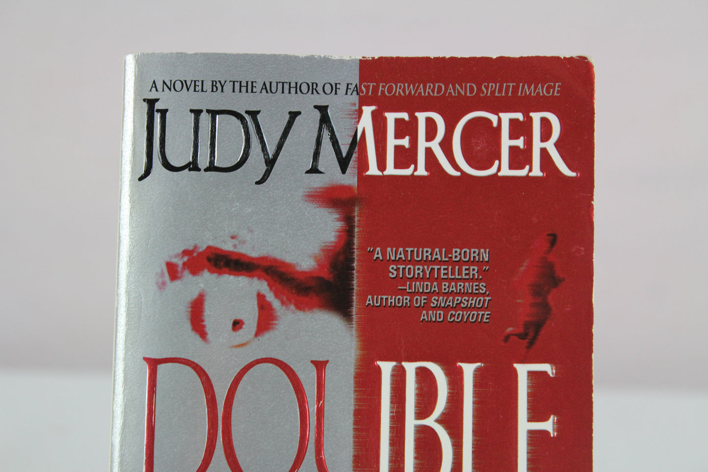 Double Take by Judy Mercer