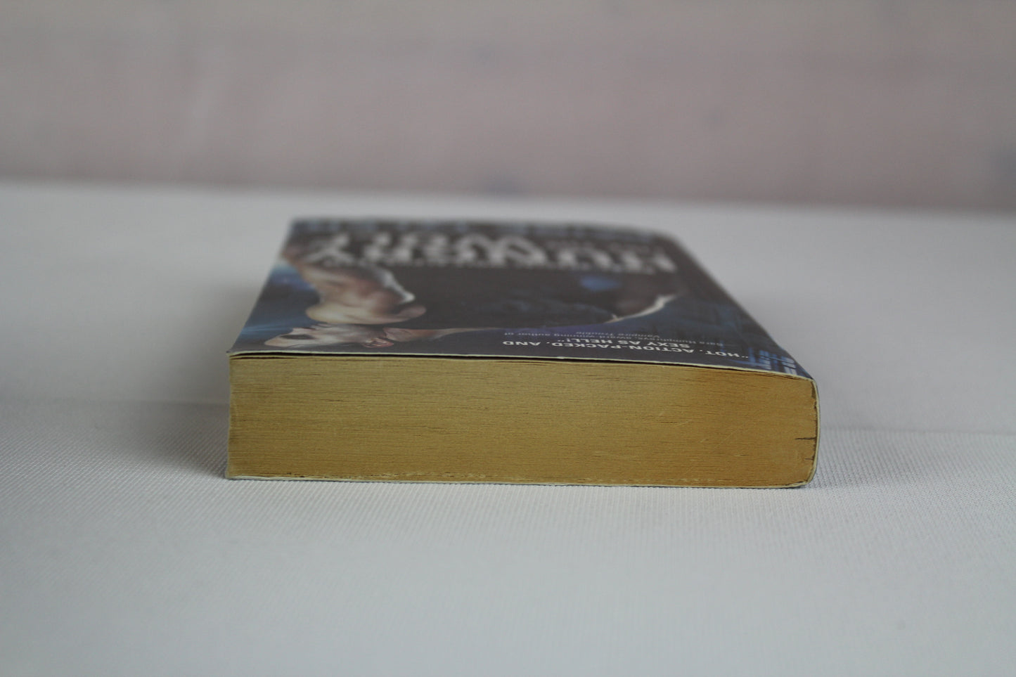 Hungry Like the Wolf (SWAT, 1) by Paige Tyler