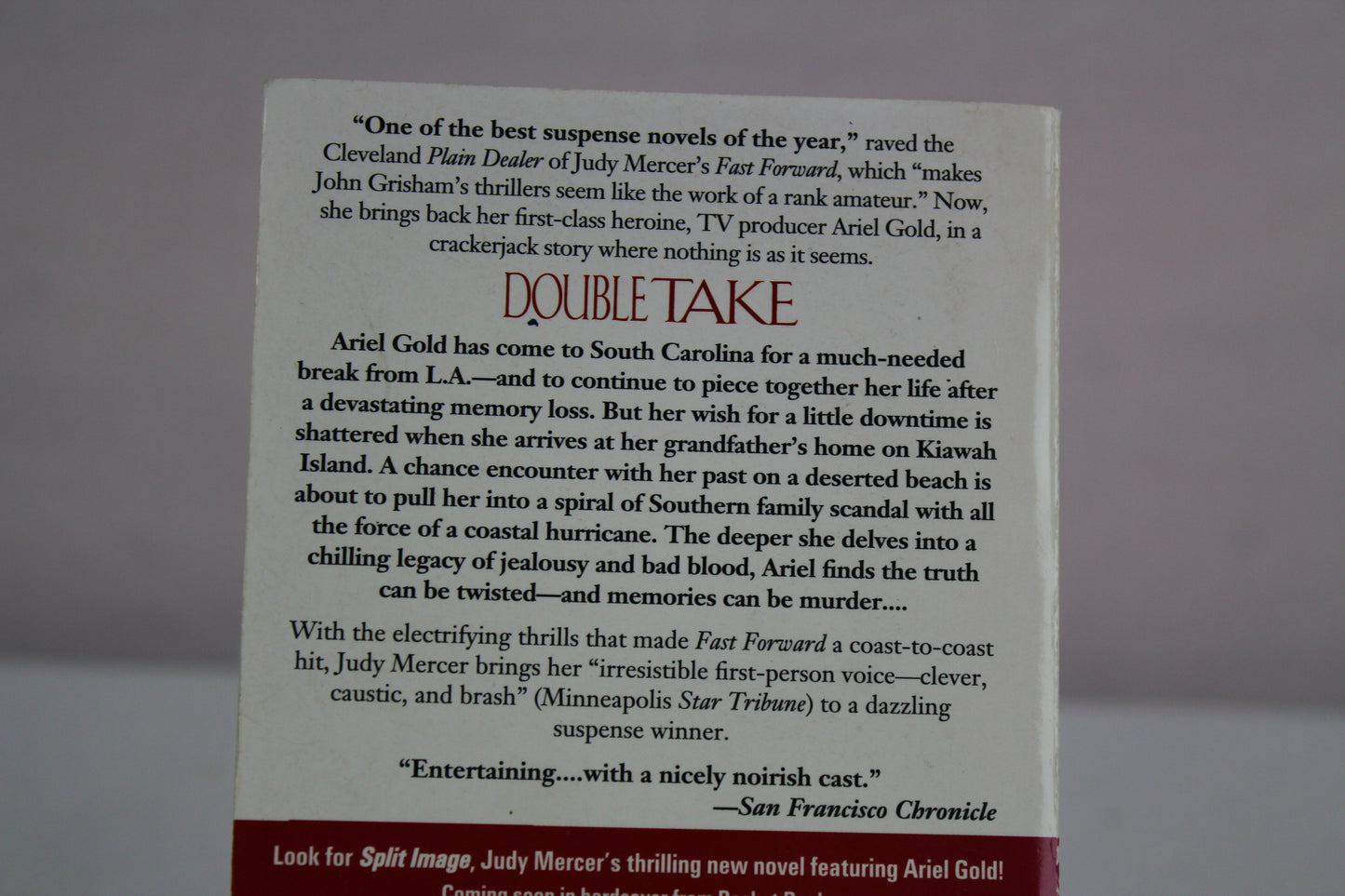 Double Take by Judy Mercer