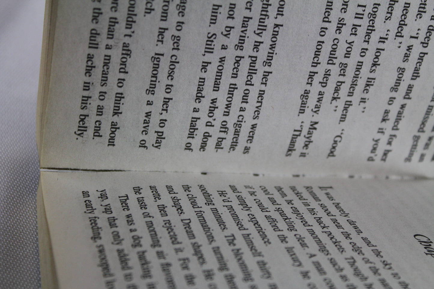 Dangerous: Risky BusinessStorm WarningThe Welcoming by Nora Roberts