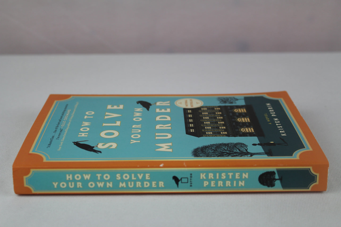 How to Solve Your Own Murder: A Novel (Castle Knoll Files) by Kristen Perrin