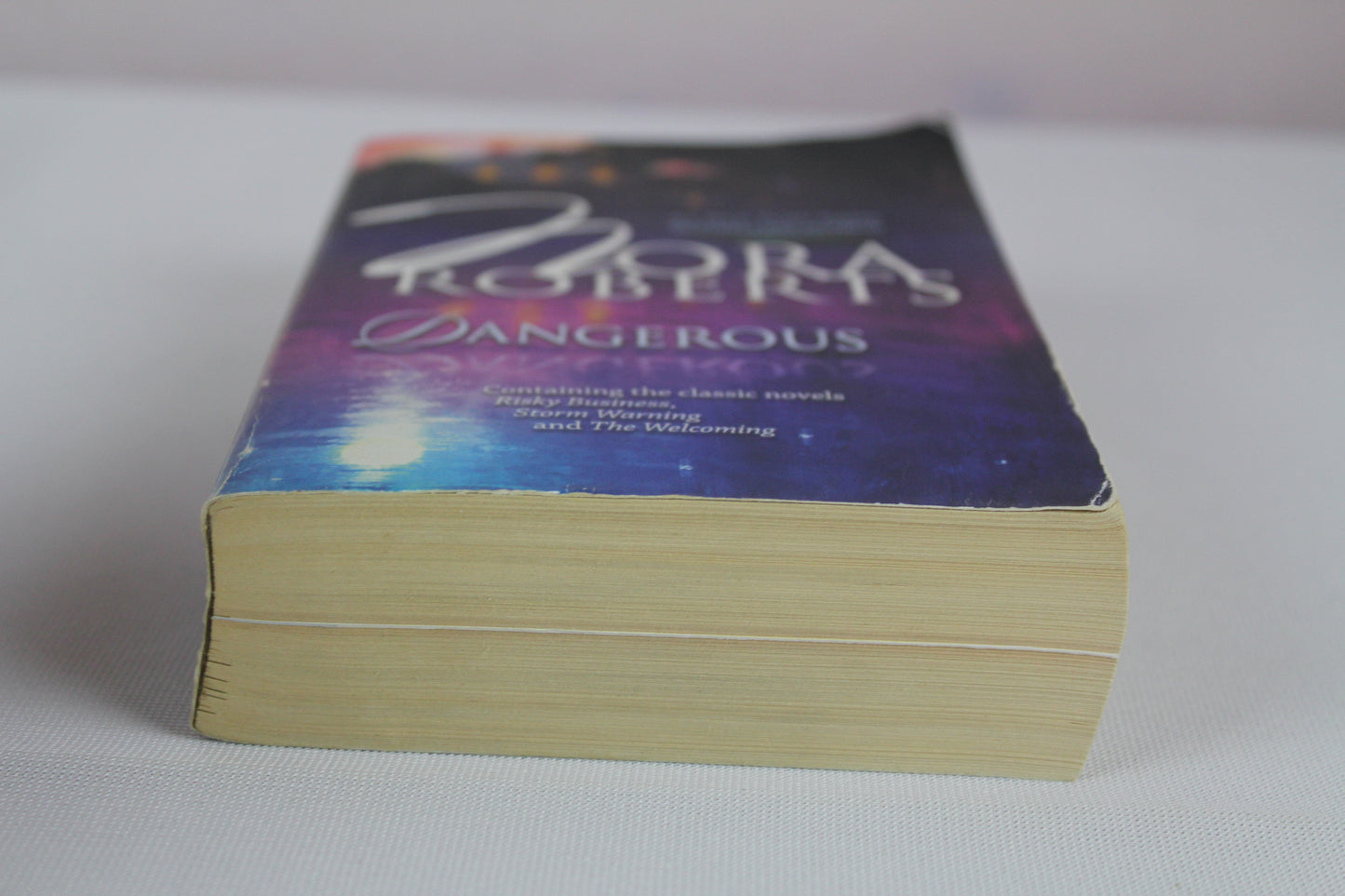 Dangerous: Risky BusinessStorm WarningThe Welcoming by Nora Roberts
