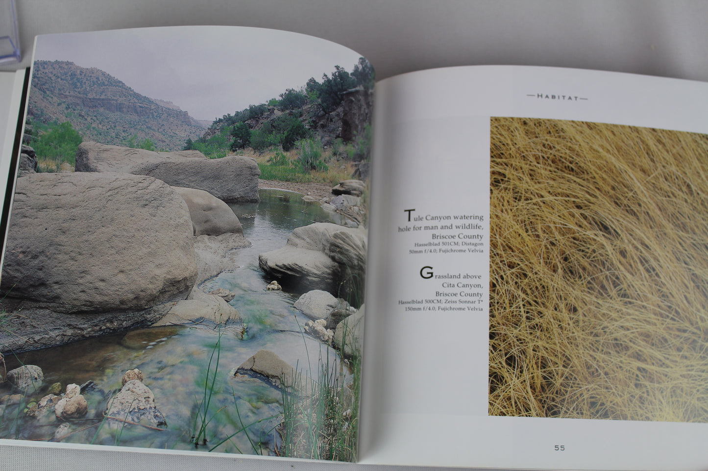 Canyons of the Texas High Plains by Wyman Meinzer, Frederick W. Rathjen