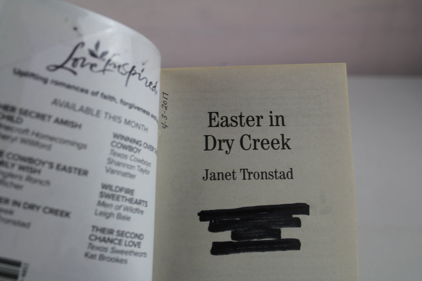 Easter in Dry Creek by Janet Tronstad