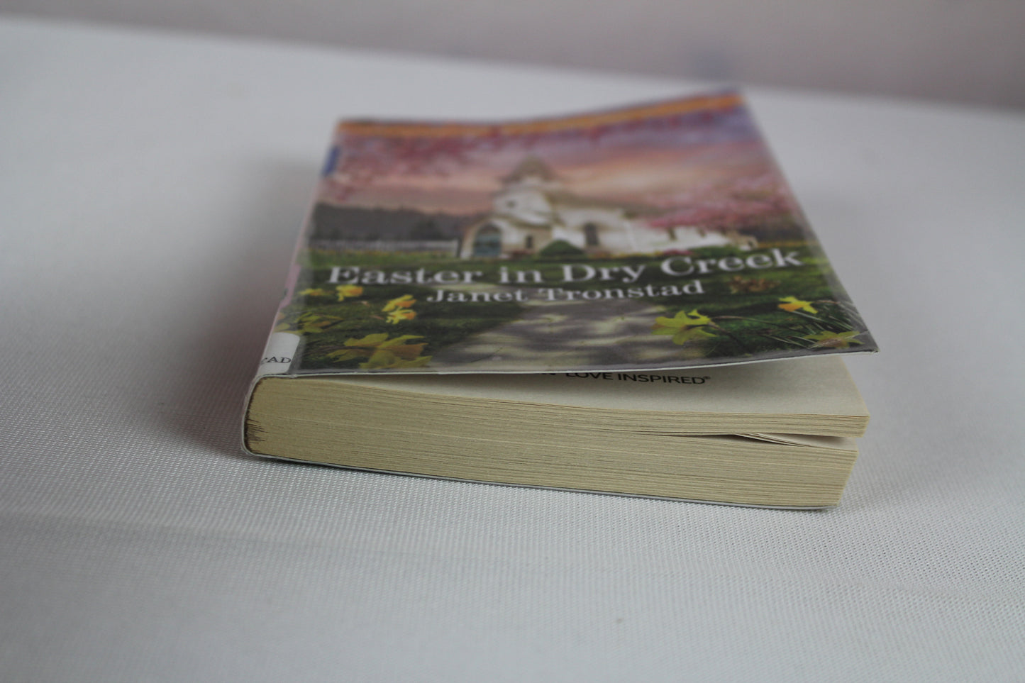 Easter in Dry Creek by Janet Tronstad