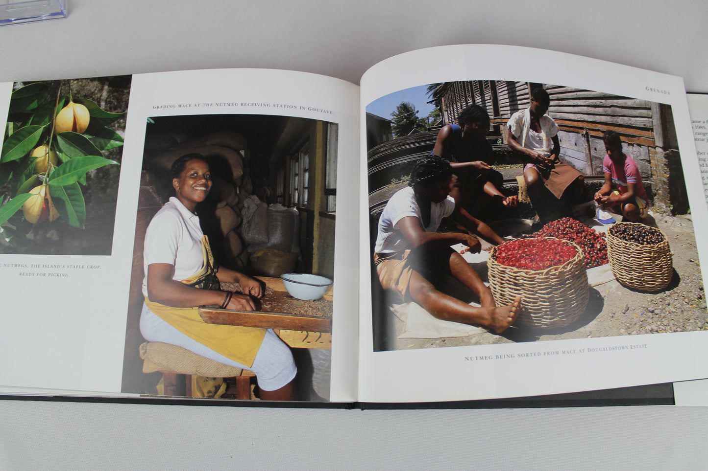 Caribbean Camera: A Journey Through the Islands by Lennox Honychurch, Oliver Benn
