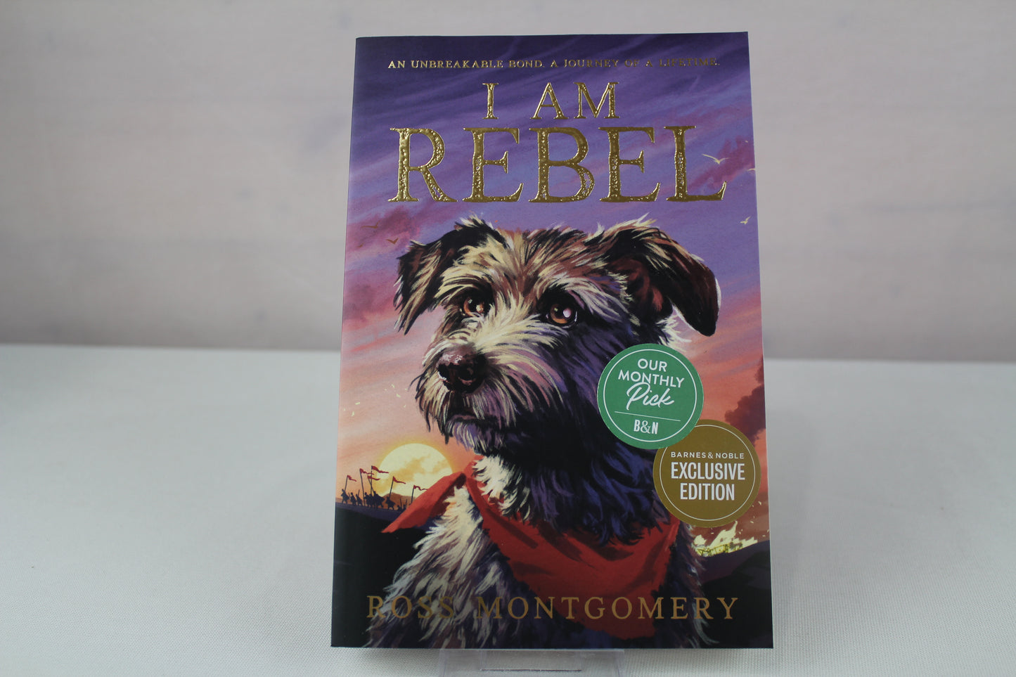 I Am Rebel by Ross Montgomery