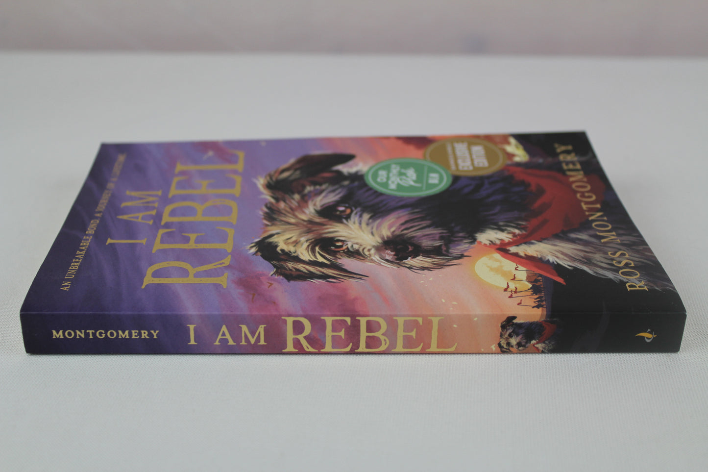 I Am Rebel by Ross Montgomery