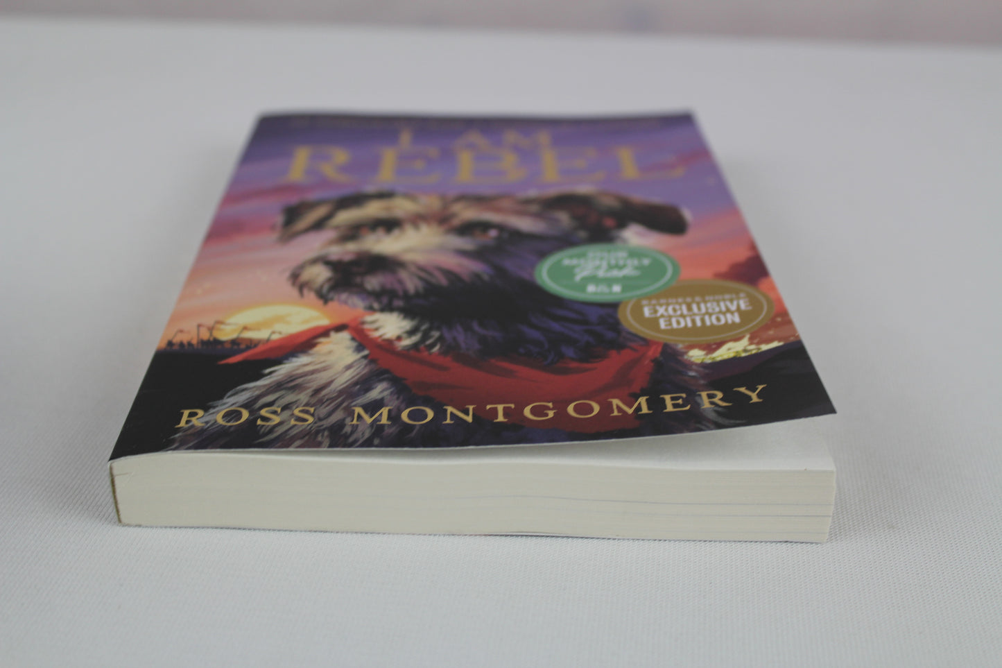 I Am Rebel by Ross Montgomery