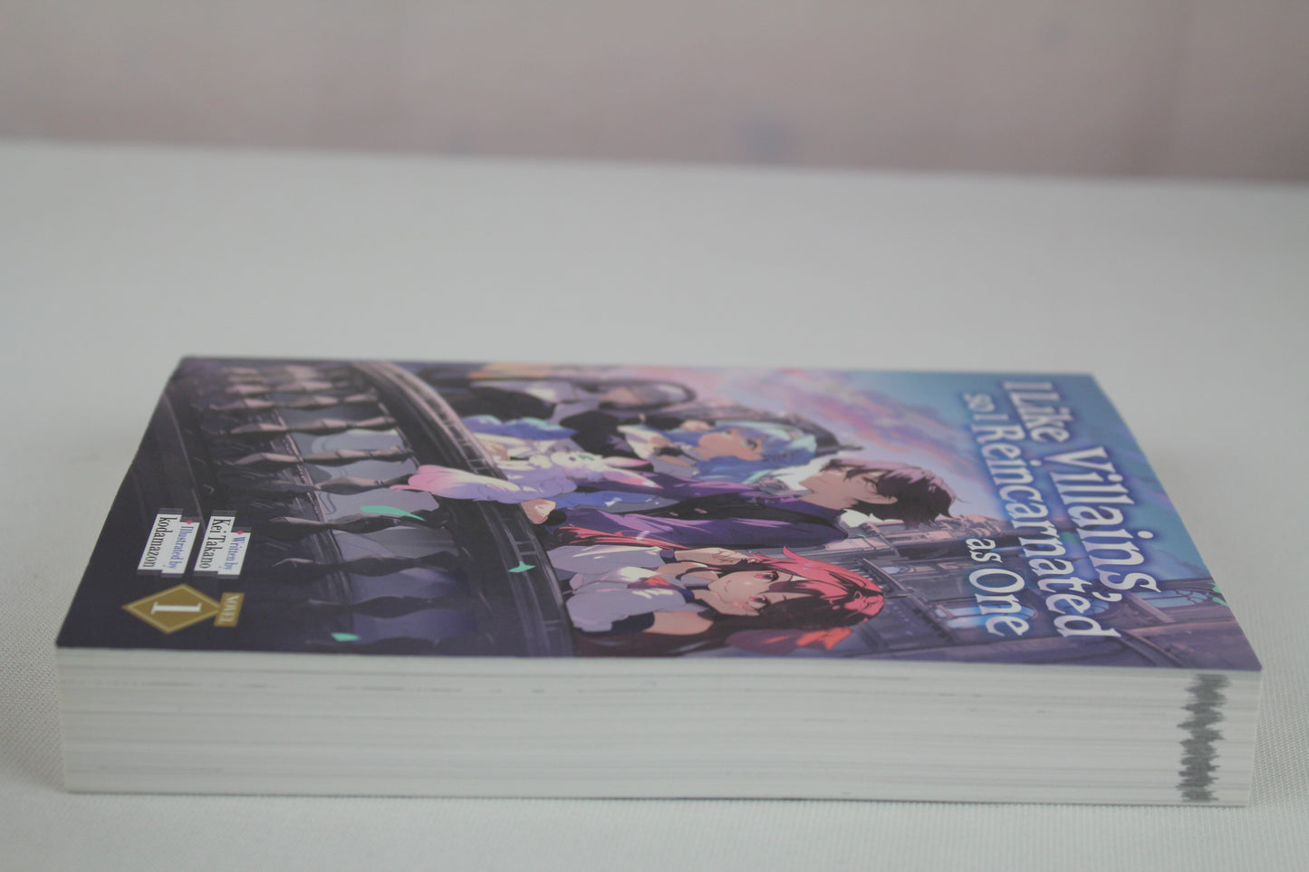 I Like Villains, so I Reincarnated as One (Light Novel) Vol. 1 by Kei Takano, kodamazon