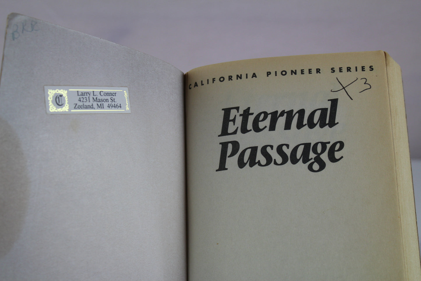 Eternal Passage (California Pioneer Series, Book 3) by Elaine L. Schulte