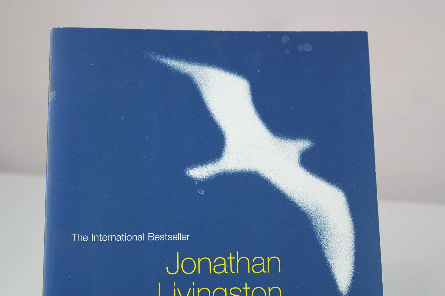 Jonathan Livingston Seagull by Richard Bach, Russell Munson