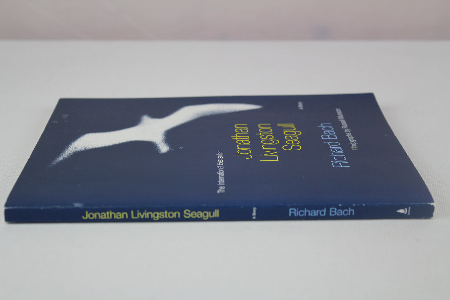 Jonathan Livingston Seagull by Richard Bach, Russell Munson