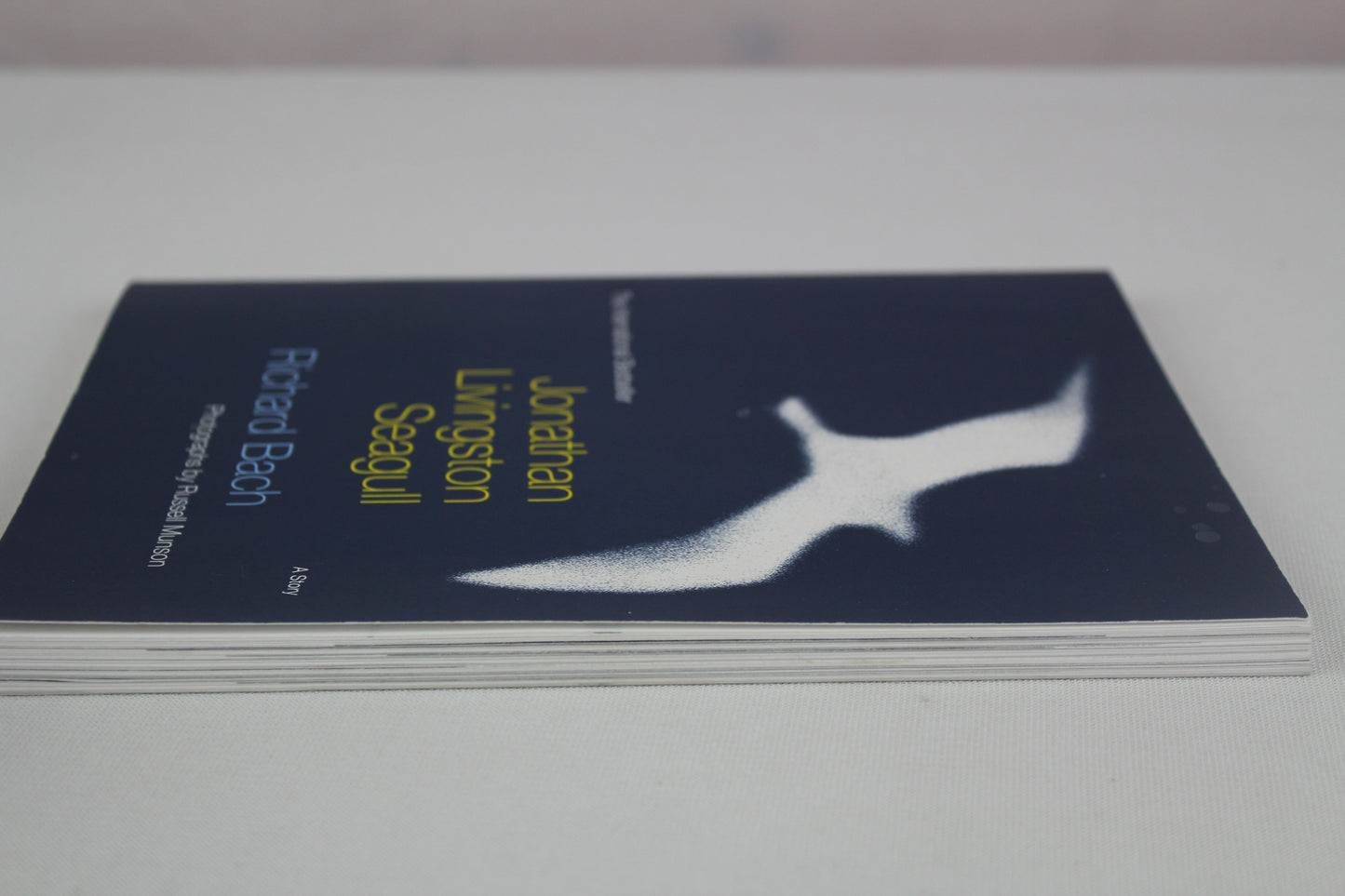 Jonathan Livingston Seagull by Richard Bach, Russell Munson