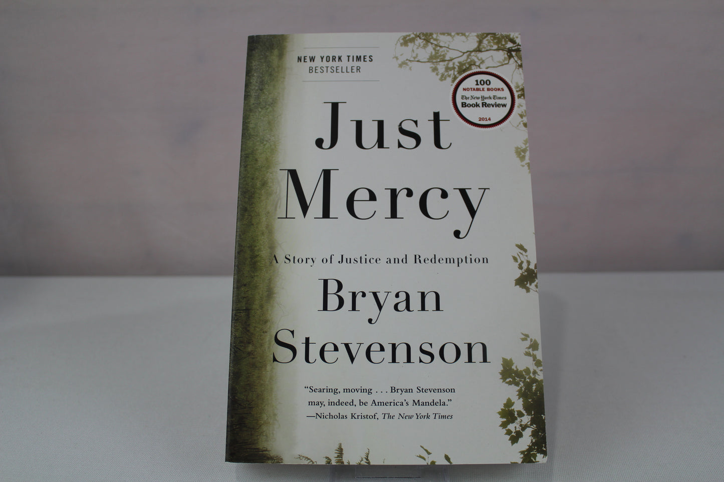 Just Mercy: A Story of Justice and Redemption by Bryan Stevenson