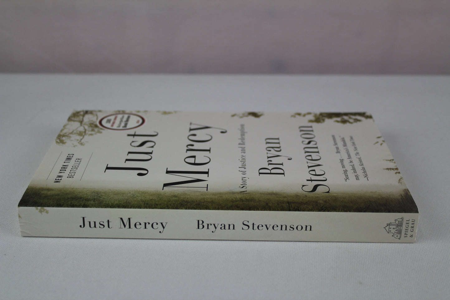 Just Mercy: A Story of Justice and Redemption by Bryan Stevenson
