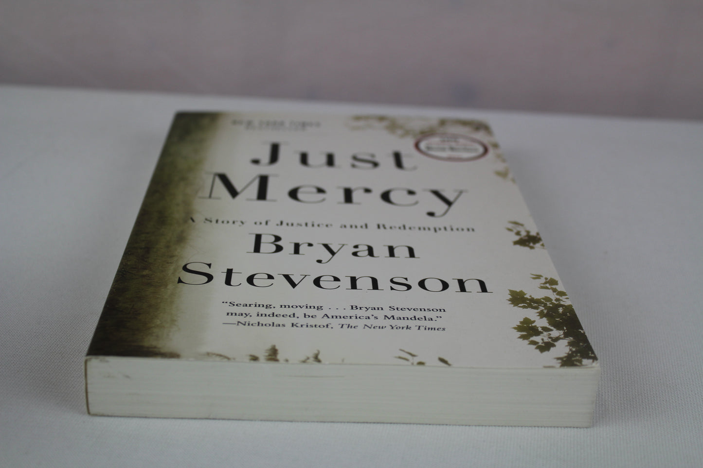 Just Mercy: A Story of Justice and Redemption by Bryan Stevenson