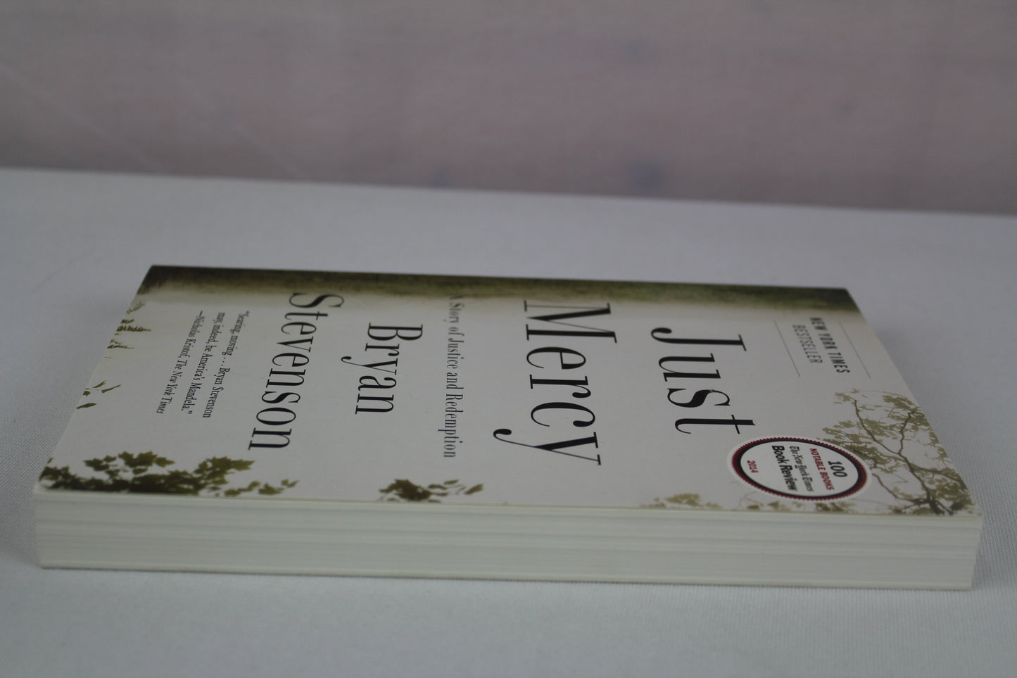 Just Mercy: A Story of Justice and Redemption by Bryan Stevenson