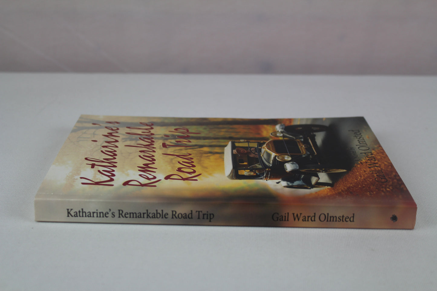 Katharine's Remarkable Road Trip by Gail Ward Olmsted