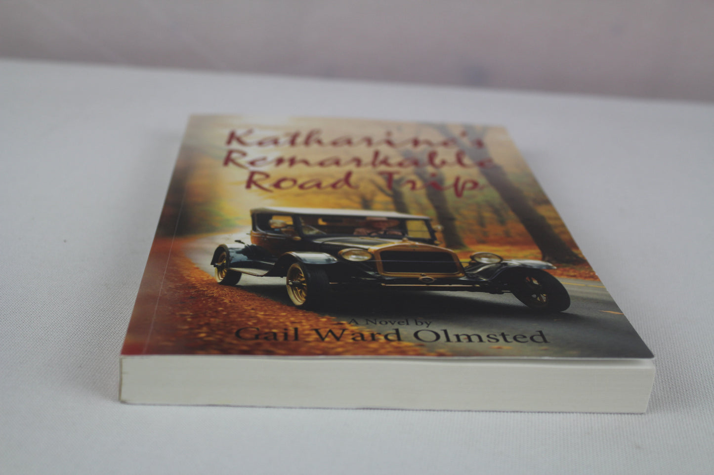 Katharine's Remarkable Road Trip by Gail Ward Olmsted