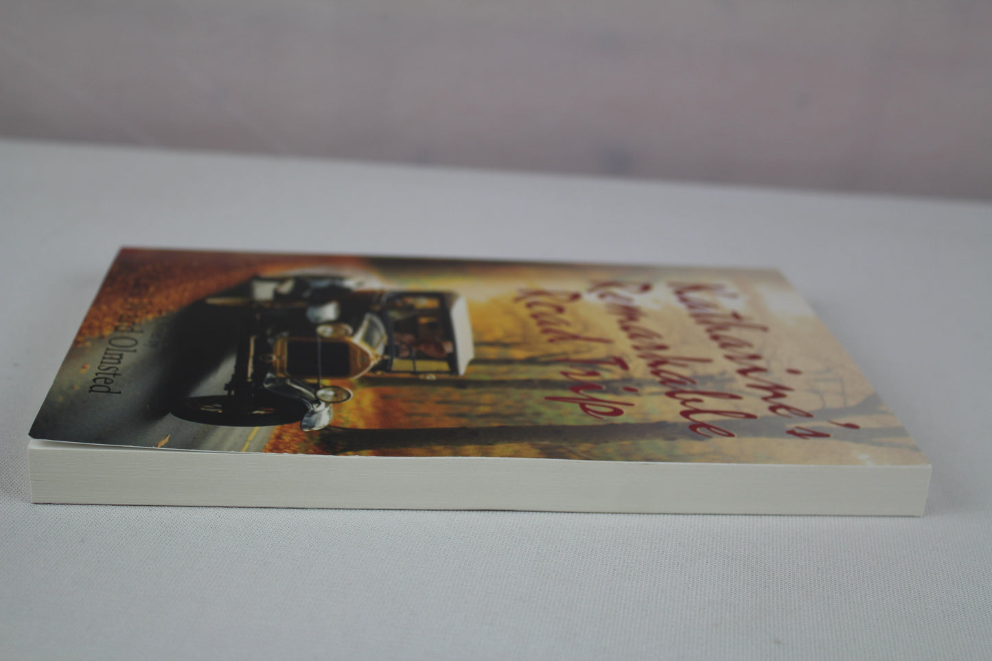 Katharine's Remarkable Road Trip by Gail Ward Olmsted