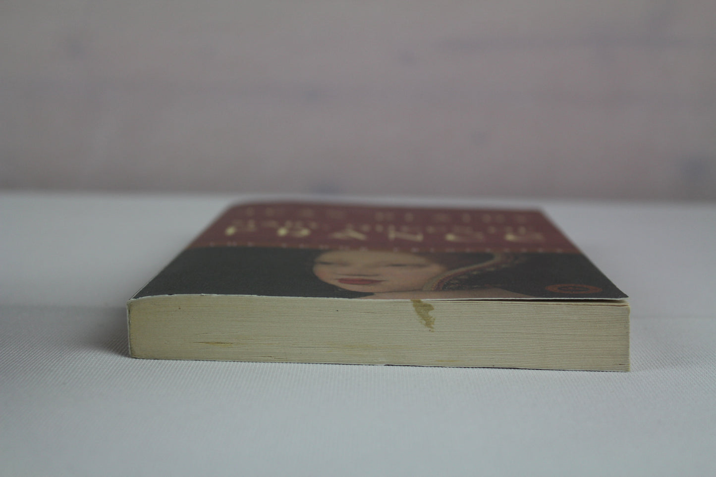 Mary, Queen of France: The Tudor Princesses by Jean Plaidy