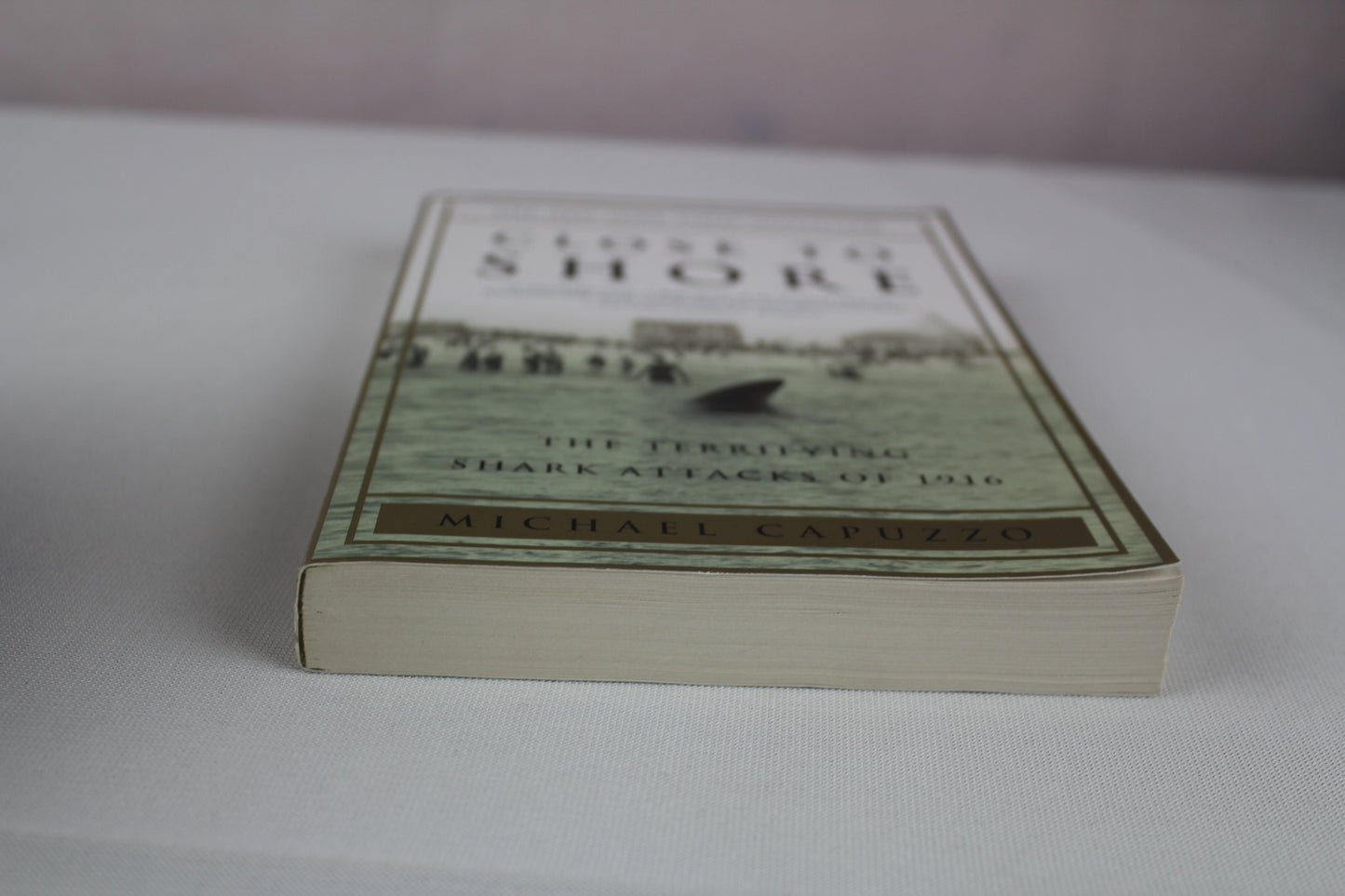 Close to Shore: The Terrifying Shark Attacks of 1916 by Michael Capuzzo