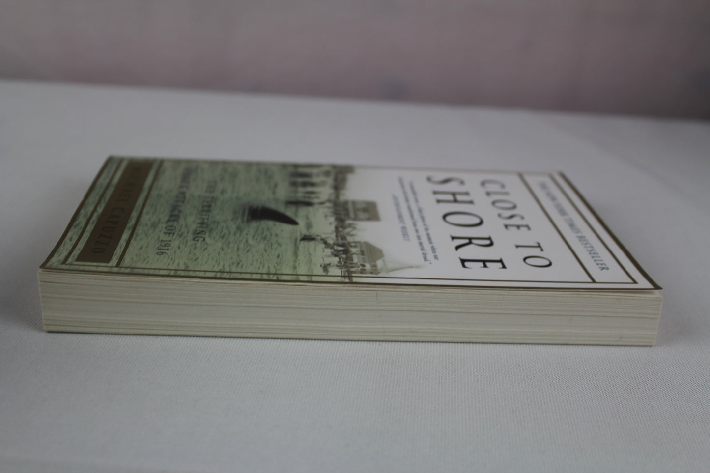 Close to Shore: The Terrifying Shark Attacks of 1916 by Michael Capuzzo