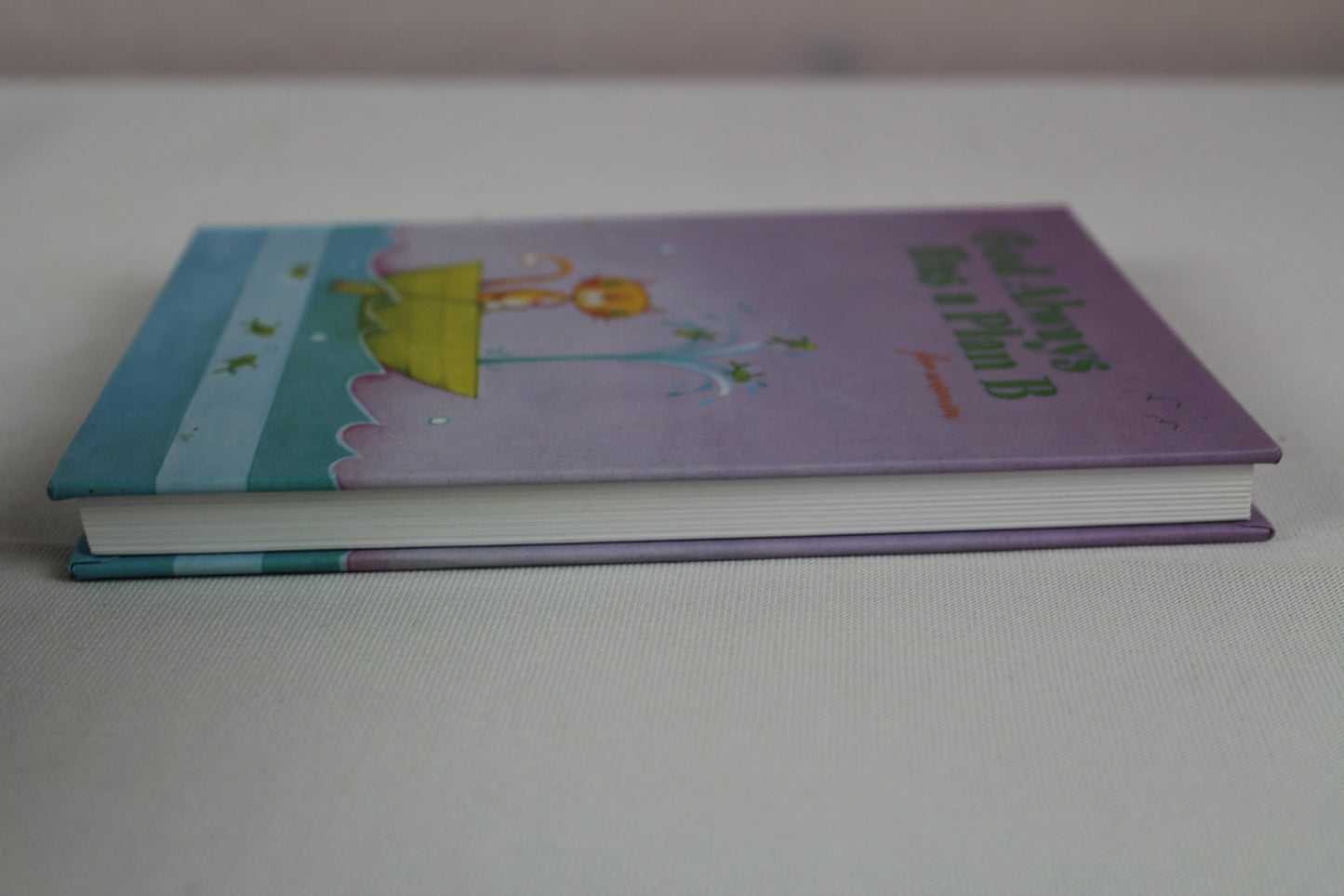 God Always Has a Plan B for Women (Giftbook from Hallmark) by Sarah M. Hupp, Molly C. Detweiler