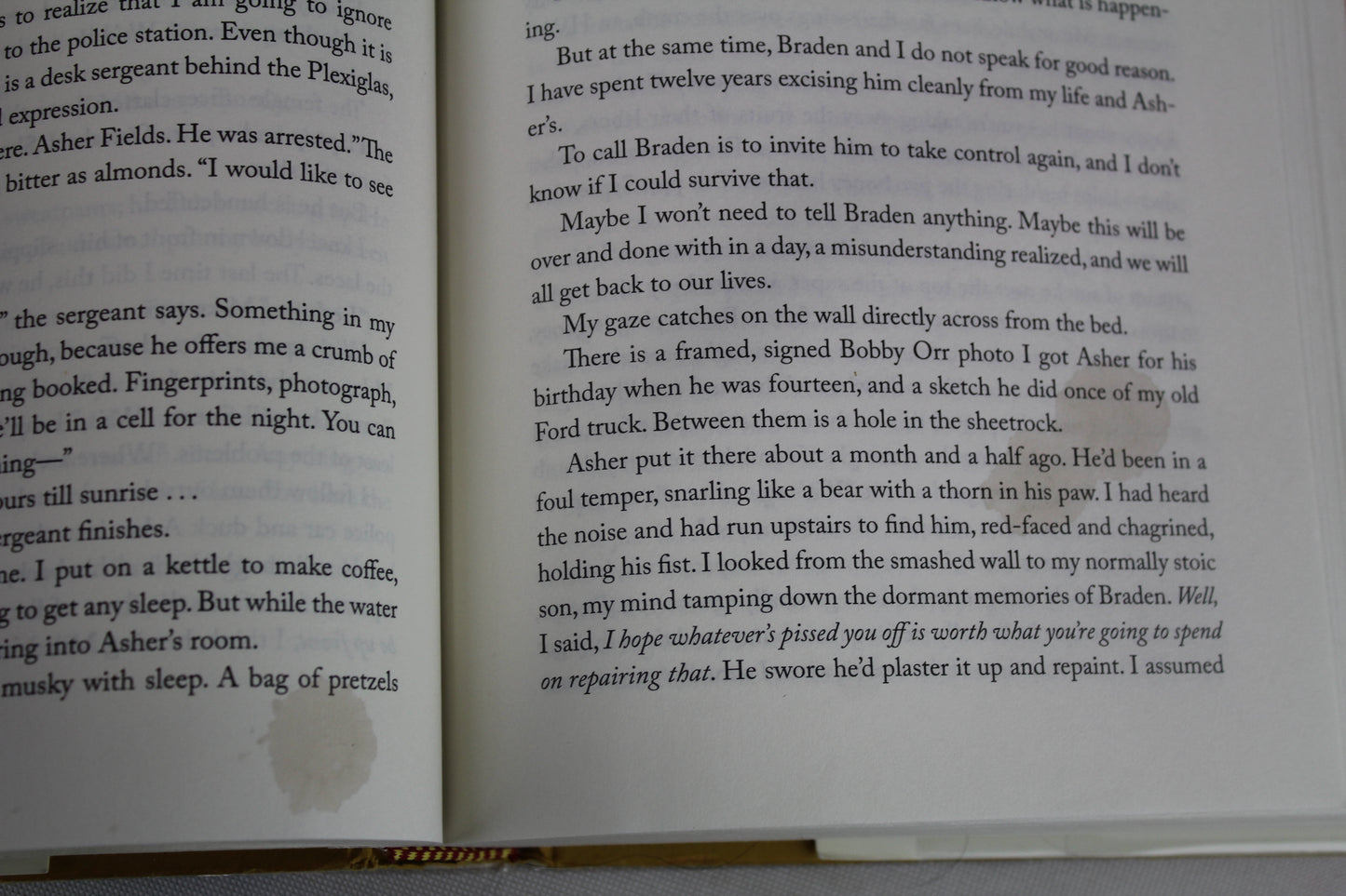 Mad Honey: A Novel by Jodi Picoult, Jennifer Finney Boylan