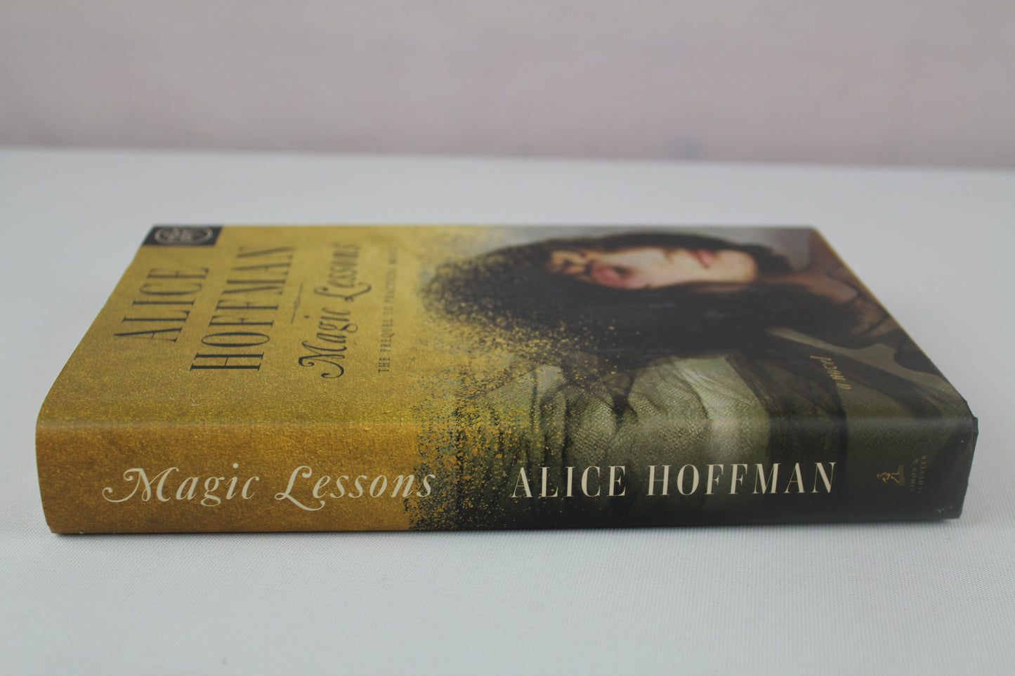 Magic Lessons: The Prequel to Practical Magic (1) (The Practical Magic Series) by Alice Hoffman