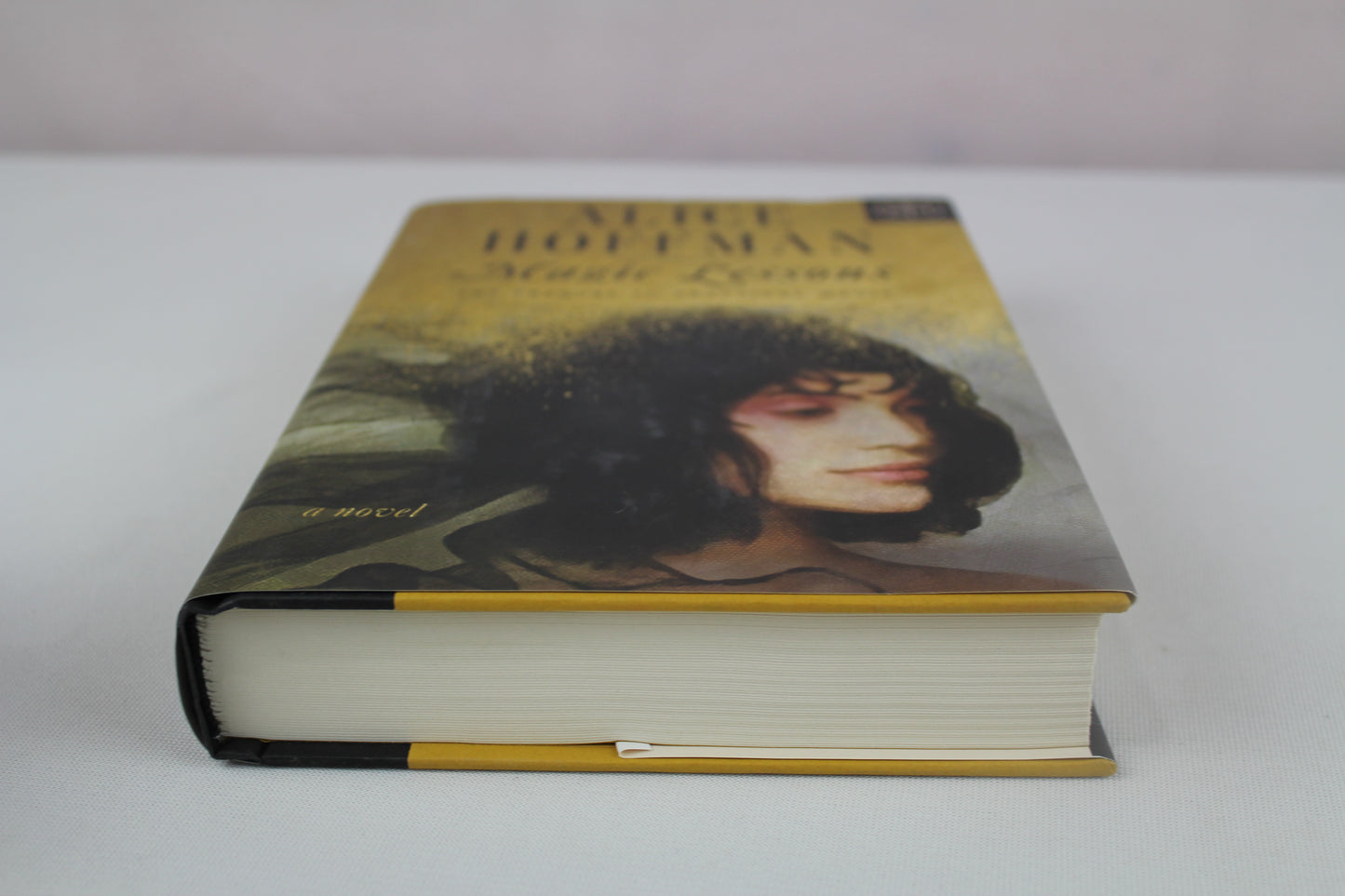 Magic Lessons: The Prequel to Practical Magic (1) (The Practical Magic Series) by Alice Hoffman
