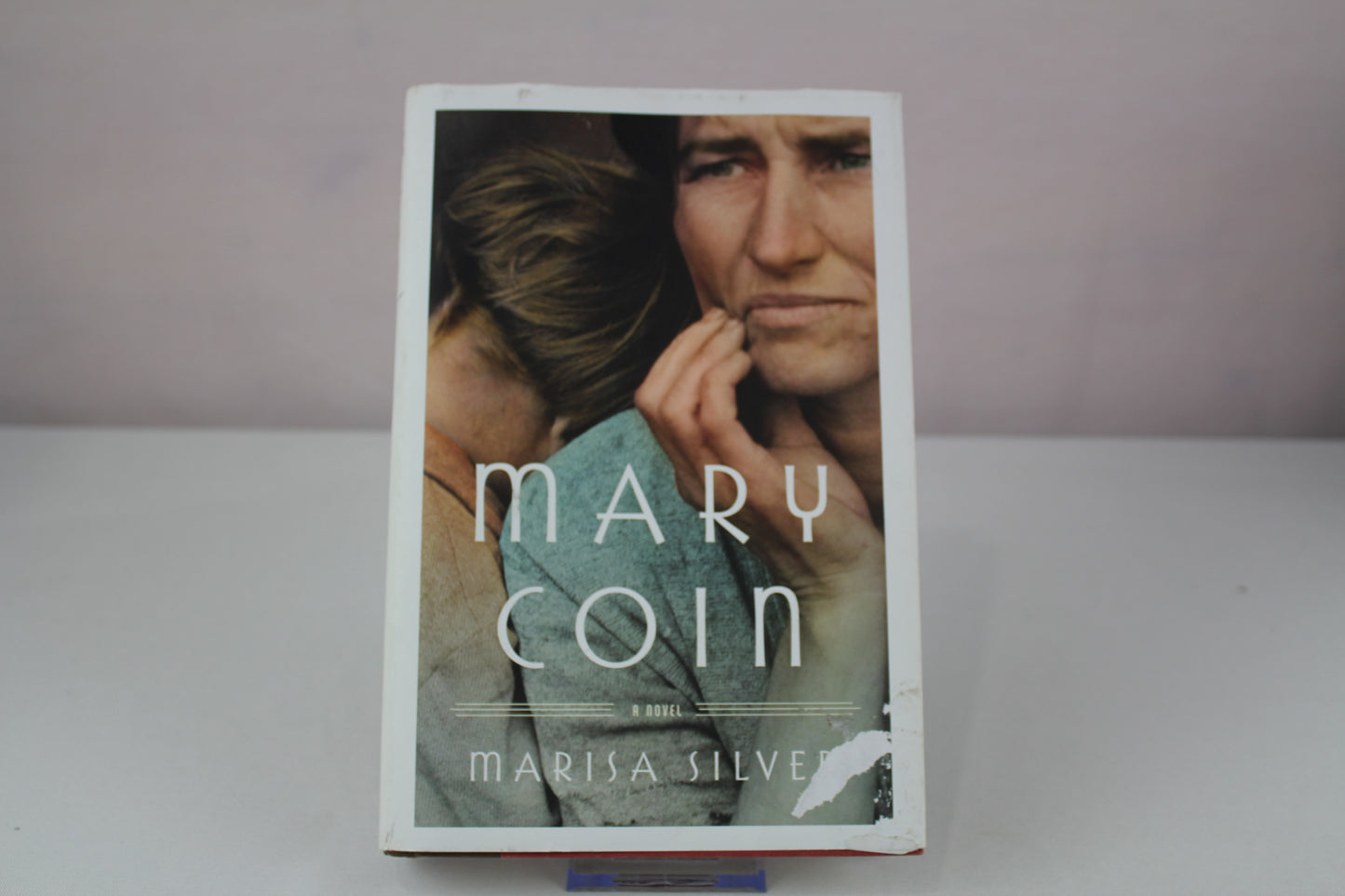 Mary Coin by Marisa Silver