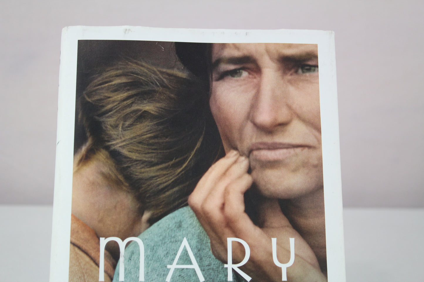 Mary Coin by Marisa Silver